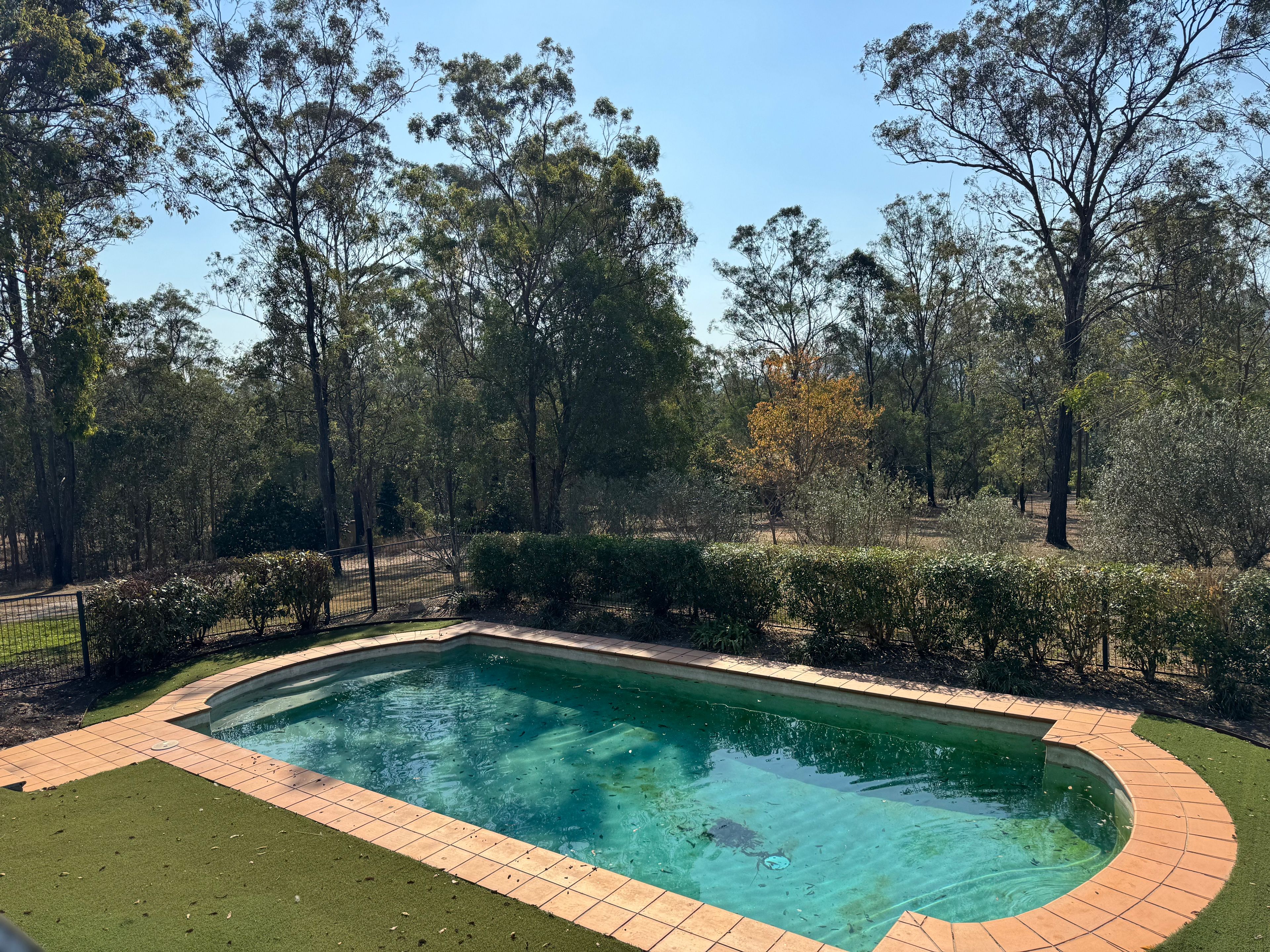 17 Westbourne Drive, Wights Mountain, QLD 4520