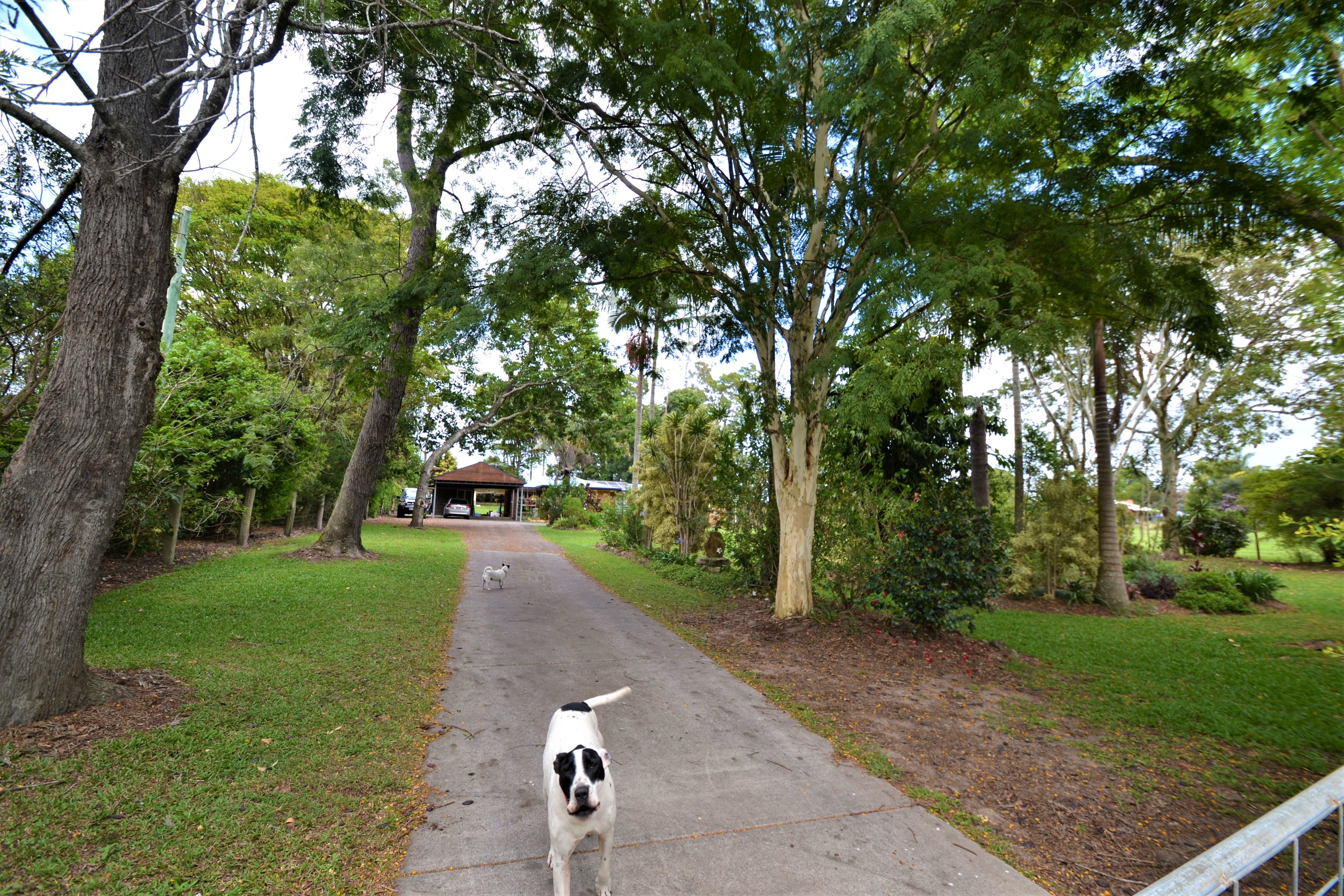 54 Mountain Vista Drive, Glass House Mountains QLD 4518