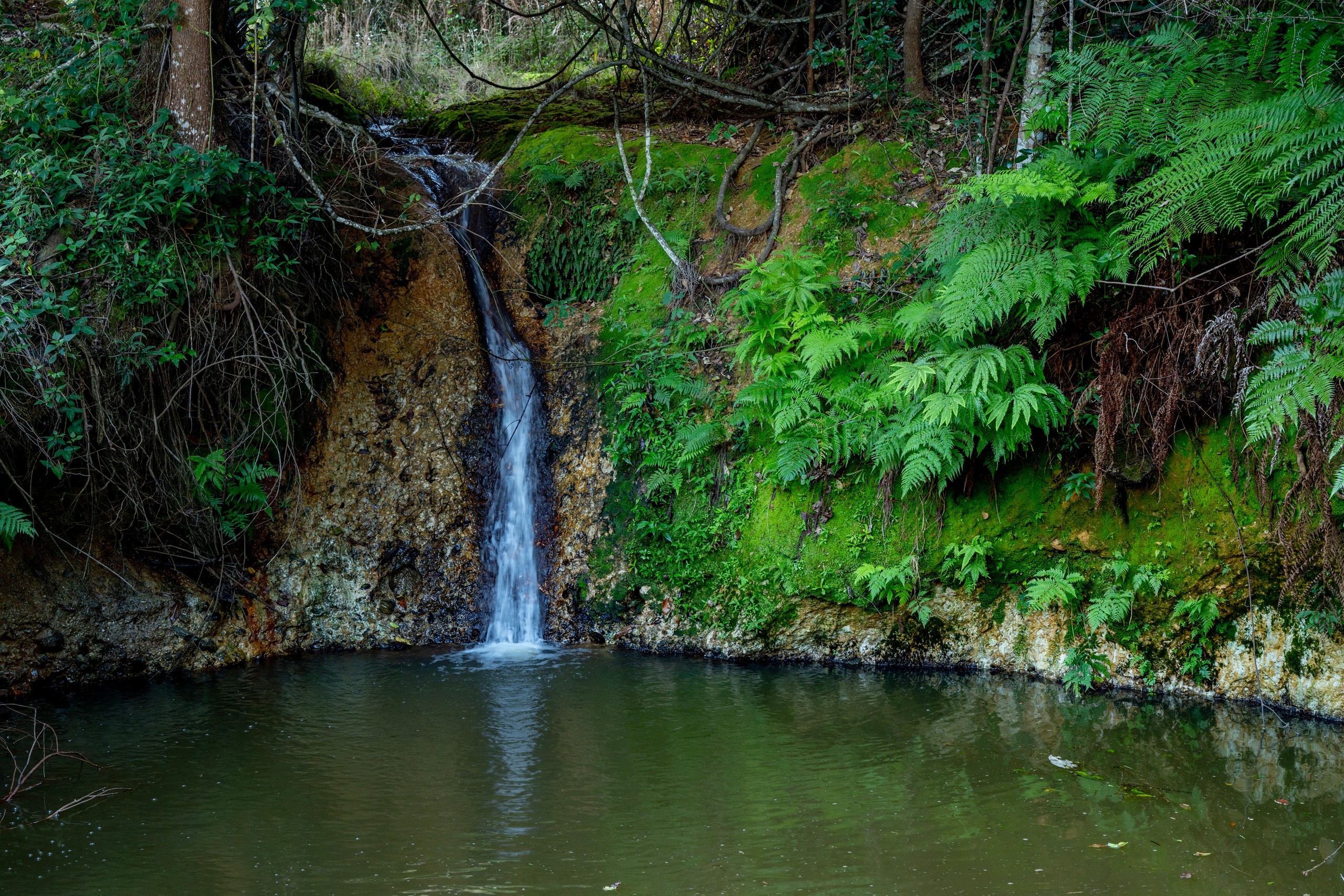 Sleepy Hollow, NSW 2483