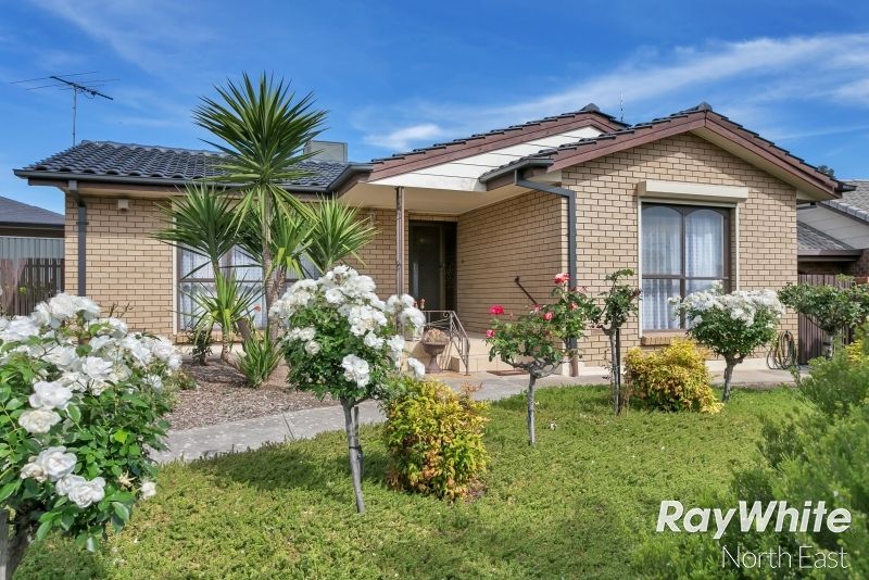 17 Erong Avenue, Gilles Plains SA 5086