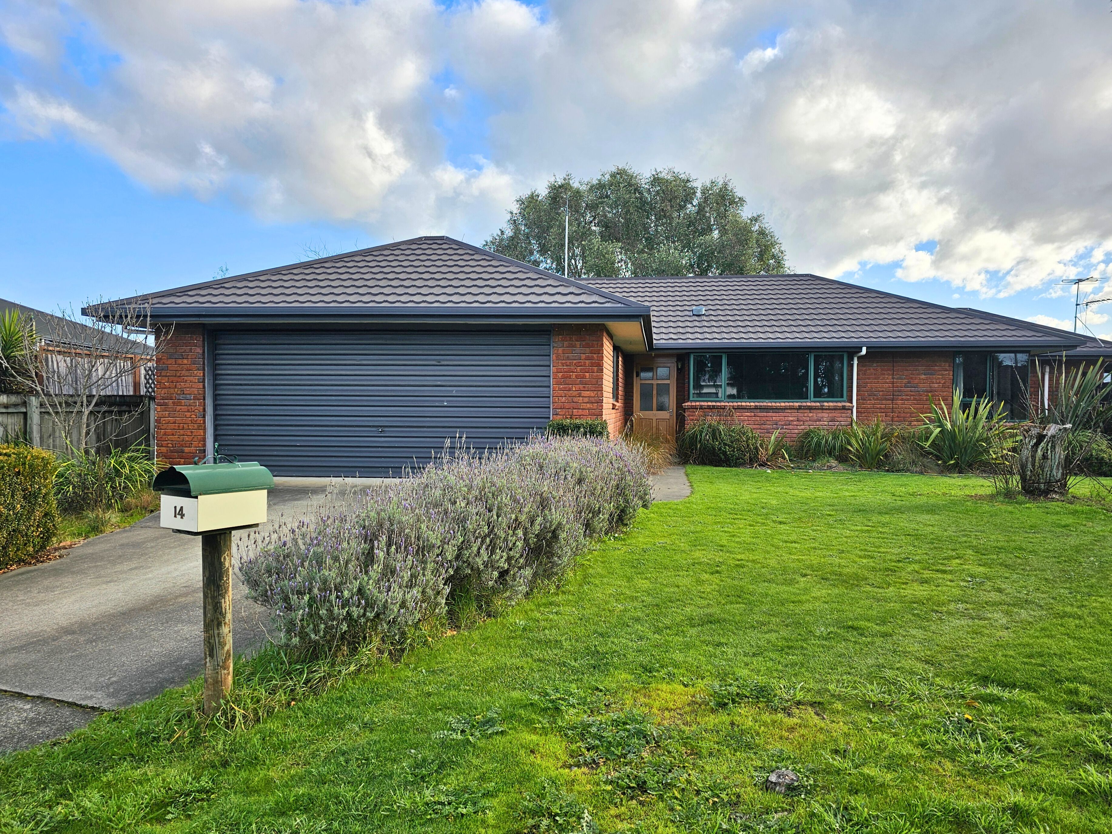 14 Cedar Grove, Witherlea, Marlborough District
