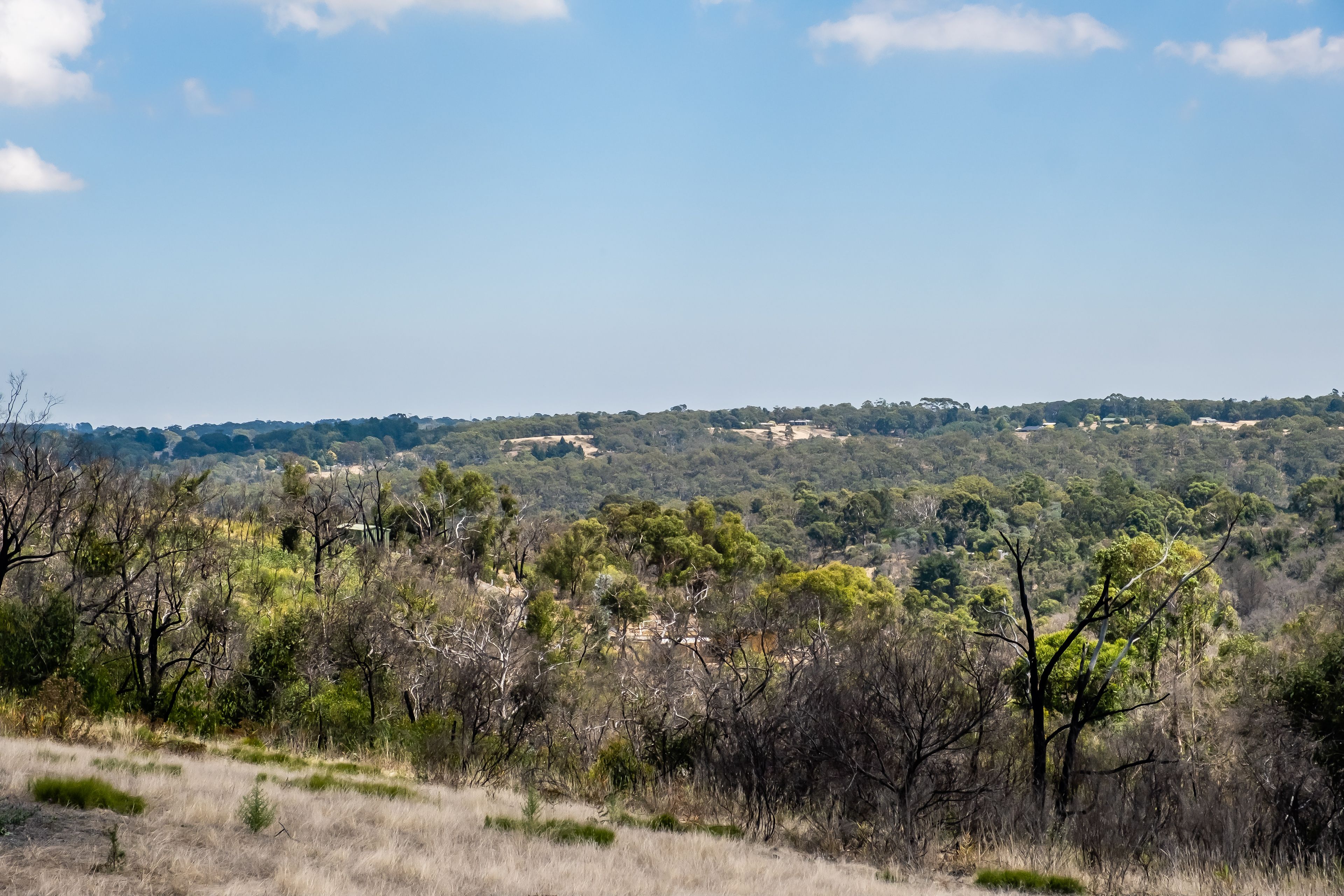 224 Mount Bold Road, Bradbury, SA 5153 Sold Land Ray White Port