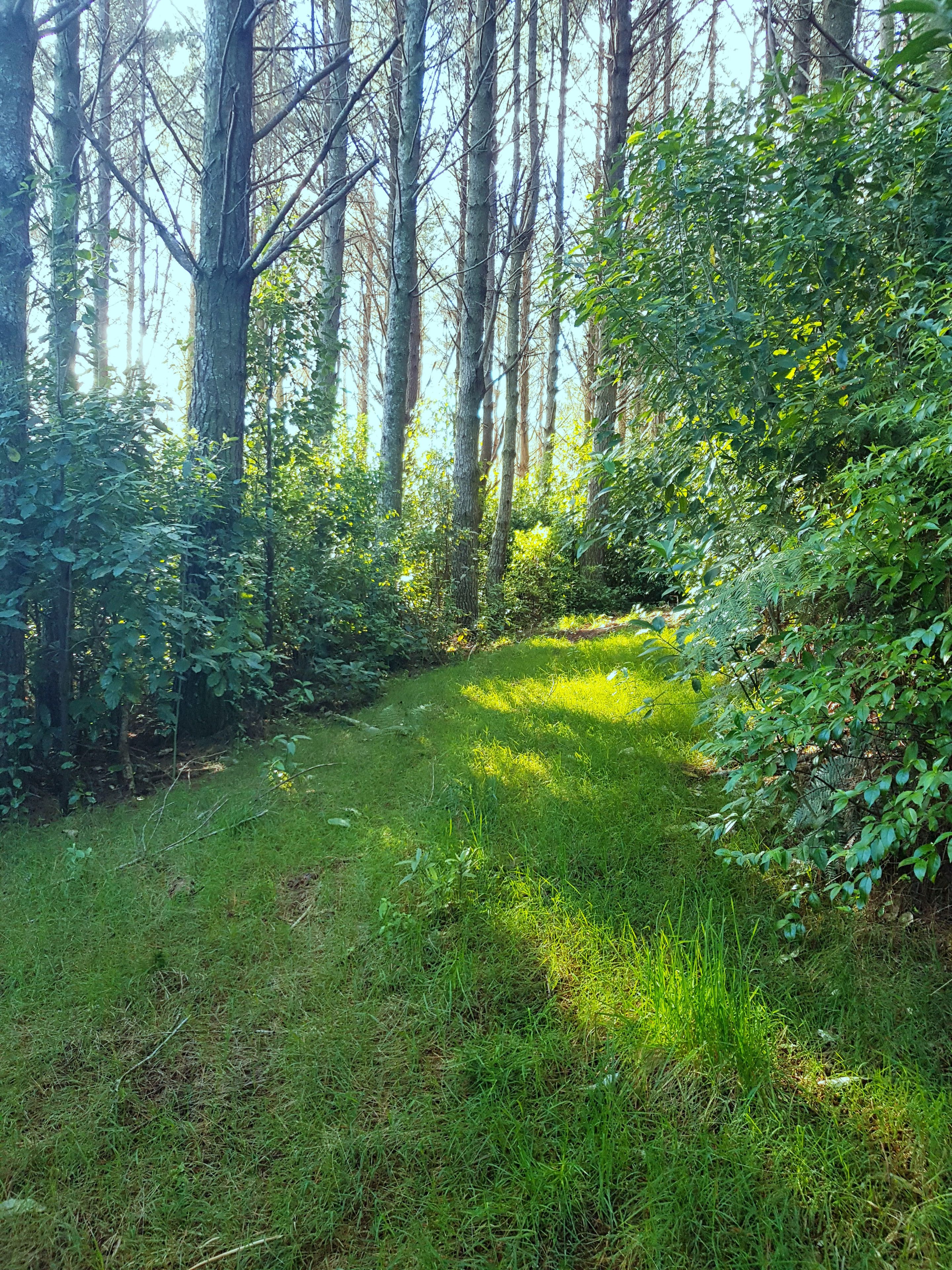 105 Govan Wilson Road, Matakana, Rodney