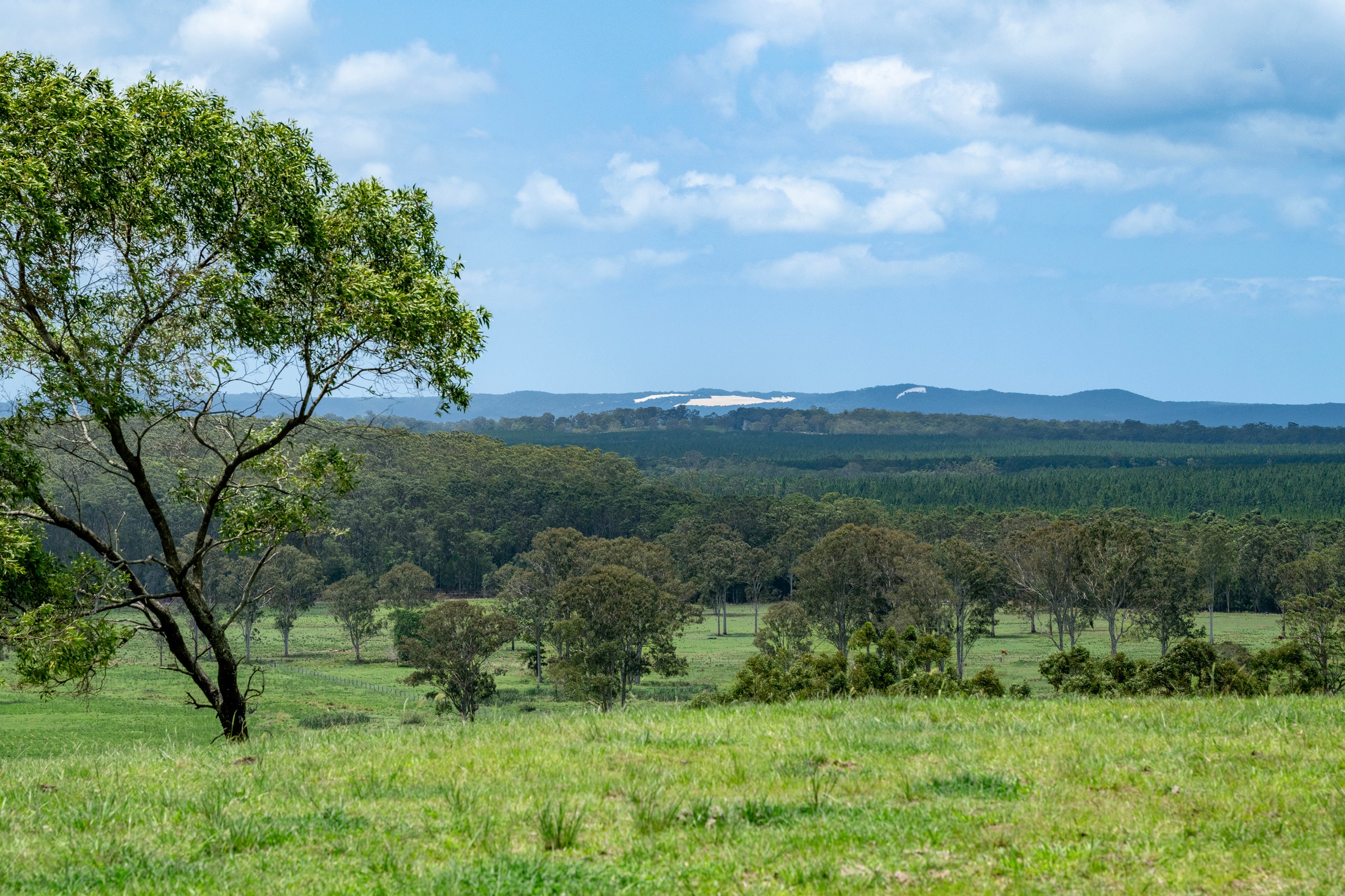 239 Parsons Road, Coondoo, QLD 4570
