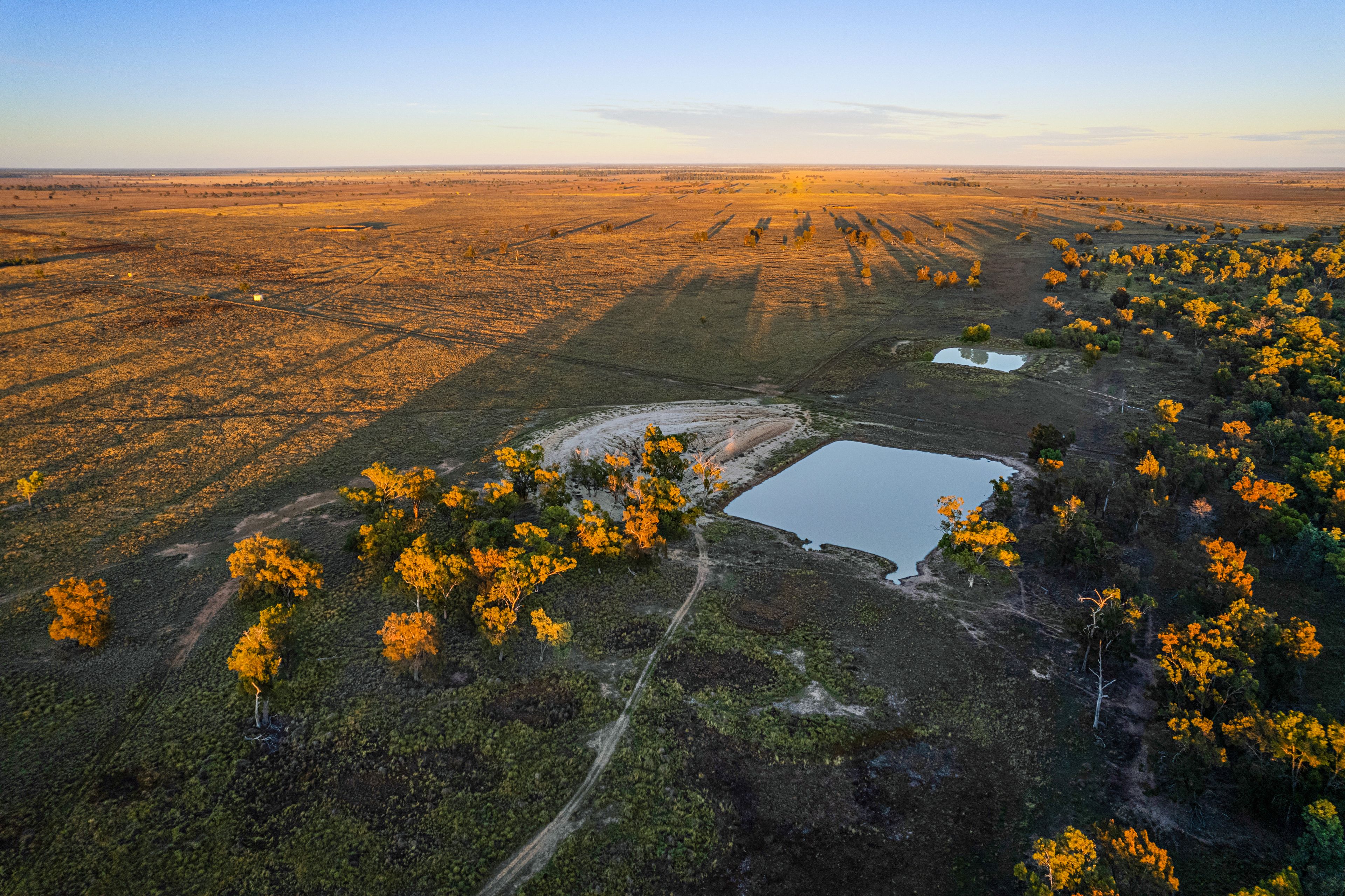 "Sandhurst" Sandhurst/3769 Quambone Road, Coonamble, NSW 2829 Rural