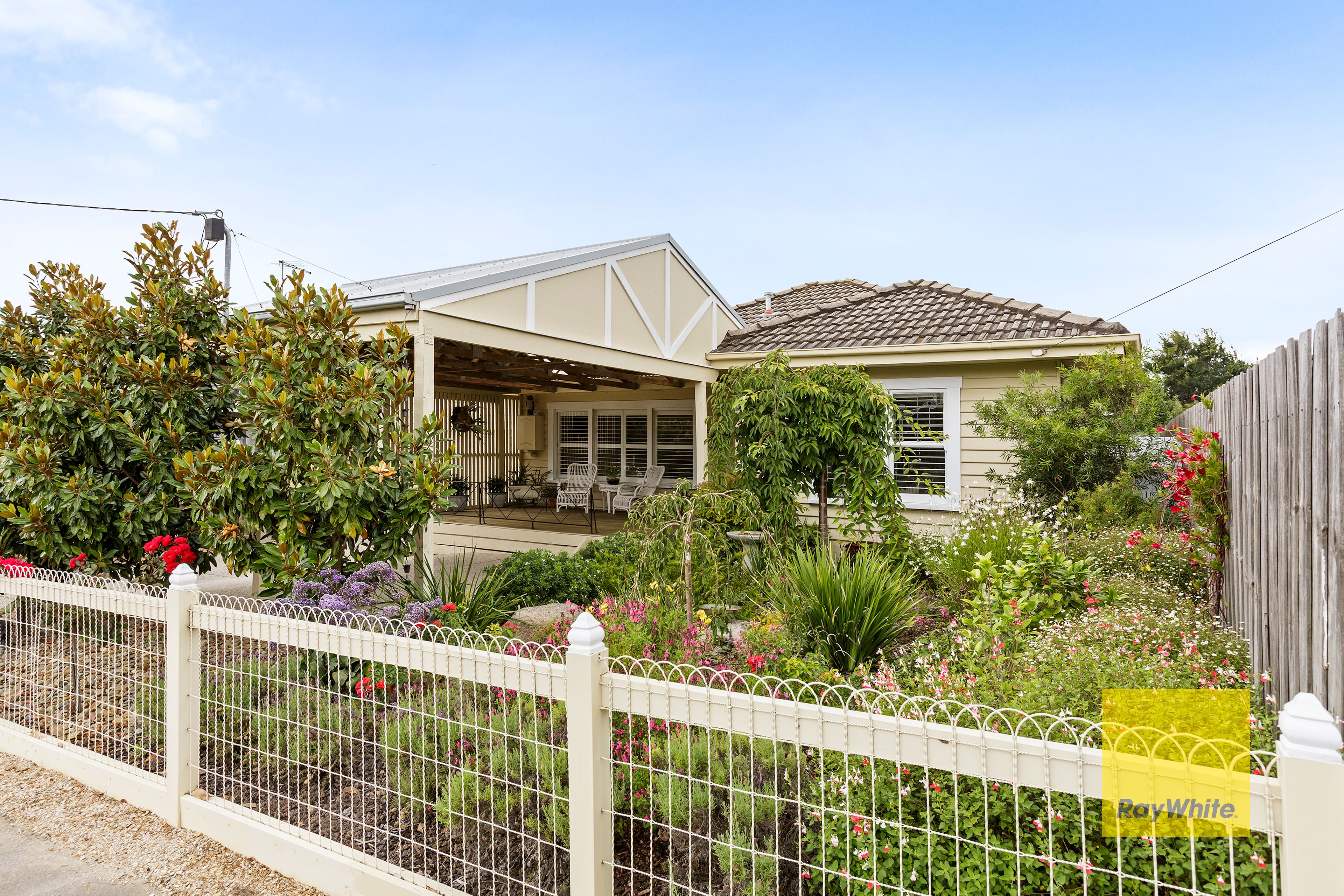 50 Saywell Street, North Geelong VIC 3215
