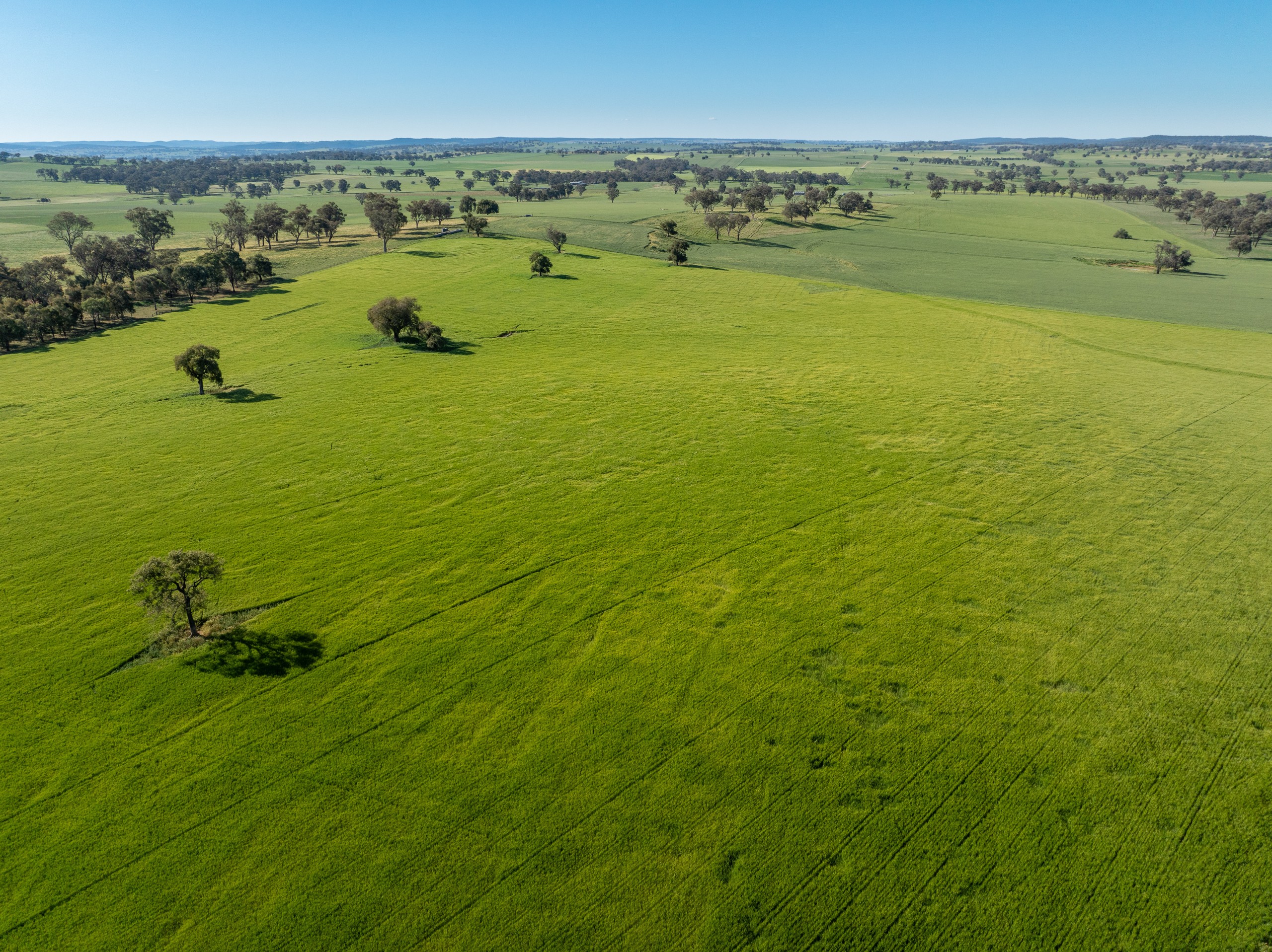 191 Robards Lane, Manildra, NSW 2865