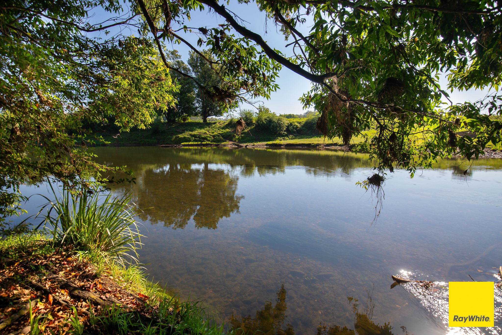 1531 Waterfall Way, Bellingen, NSW 2454