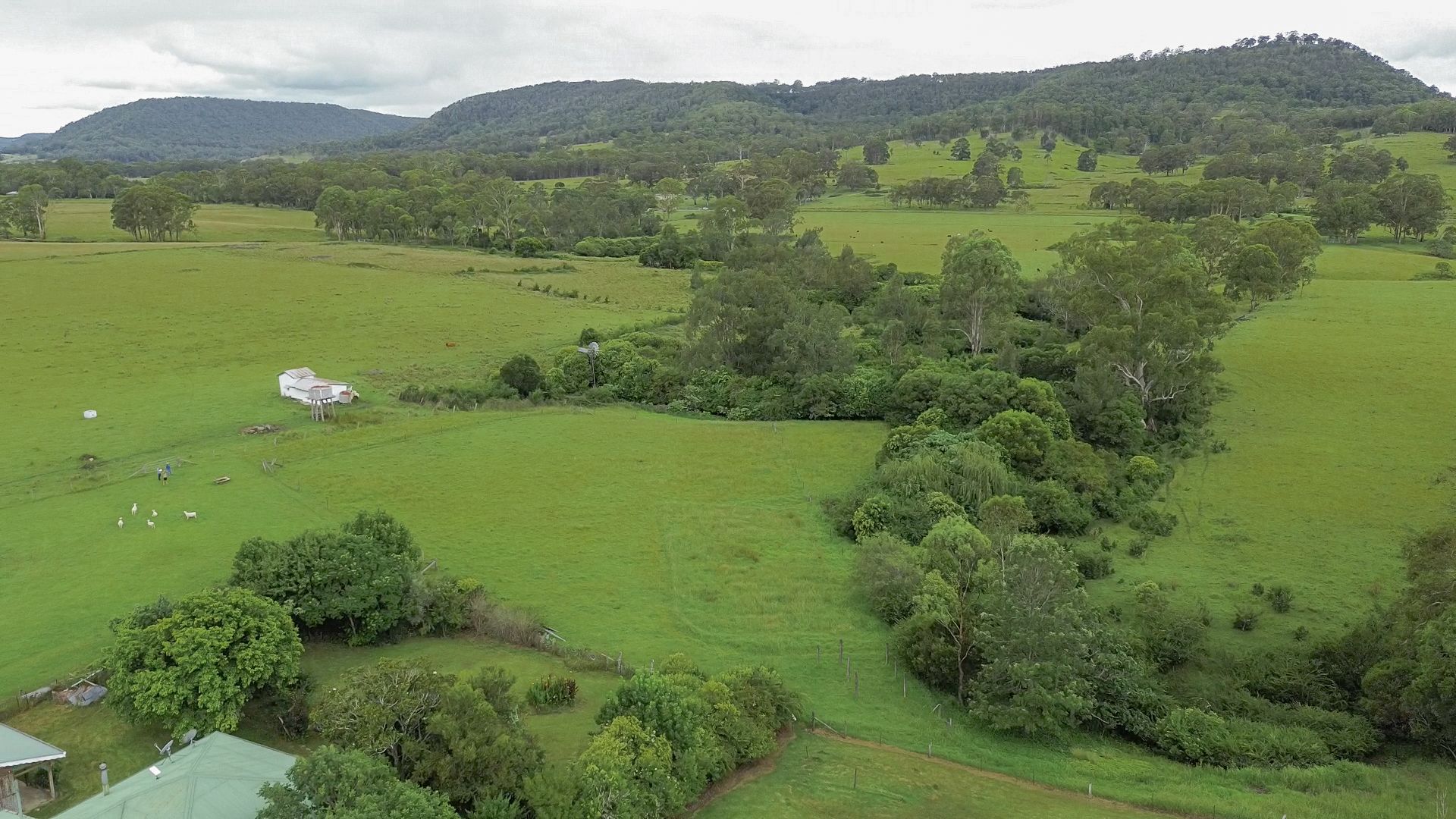 80 Tooloom Street, Legume, NSW 2476