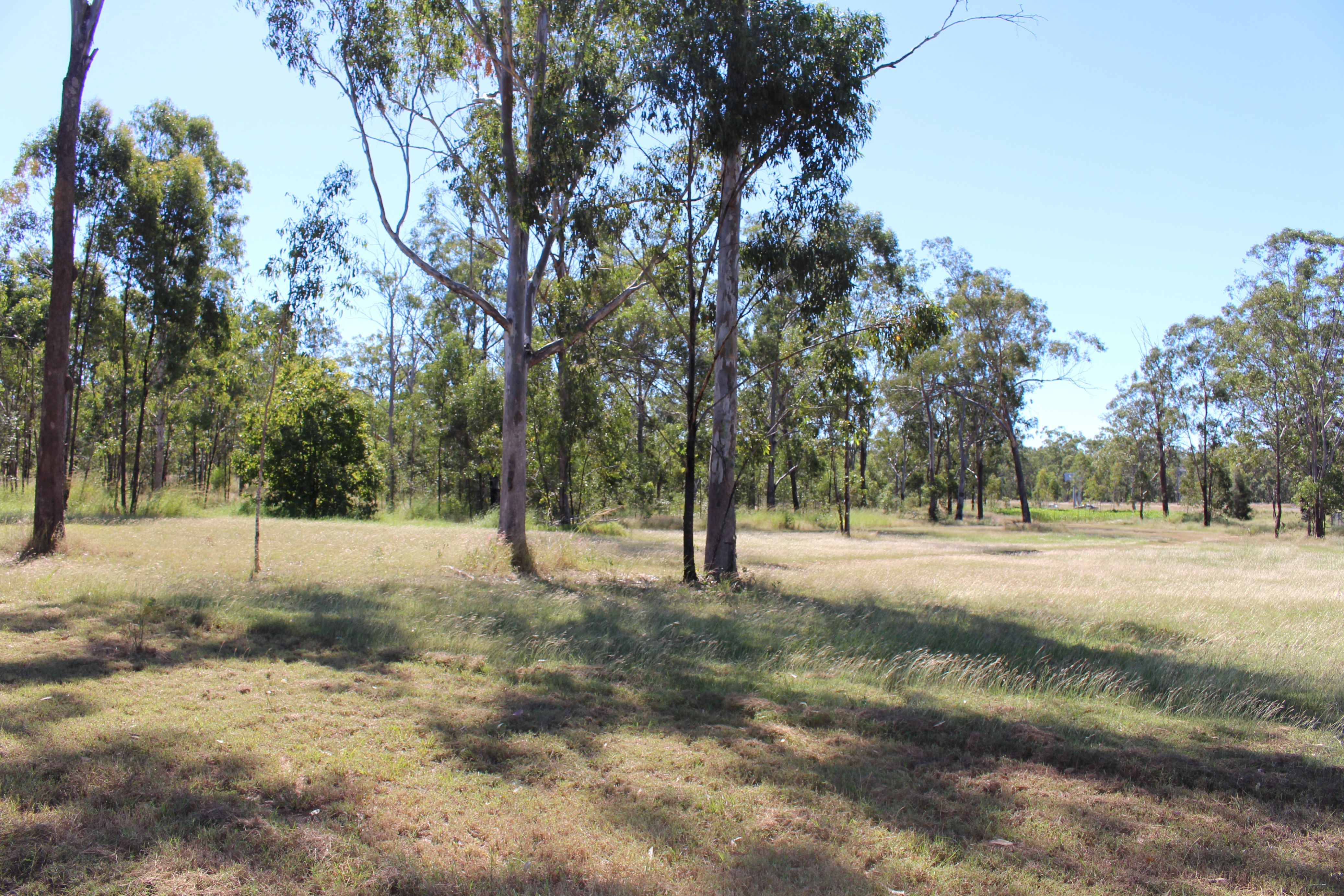 53821 Bruce Highway — photo 10 of 25