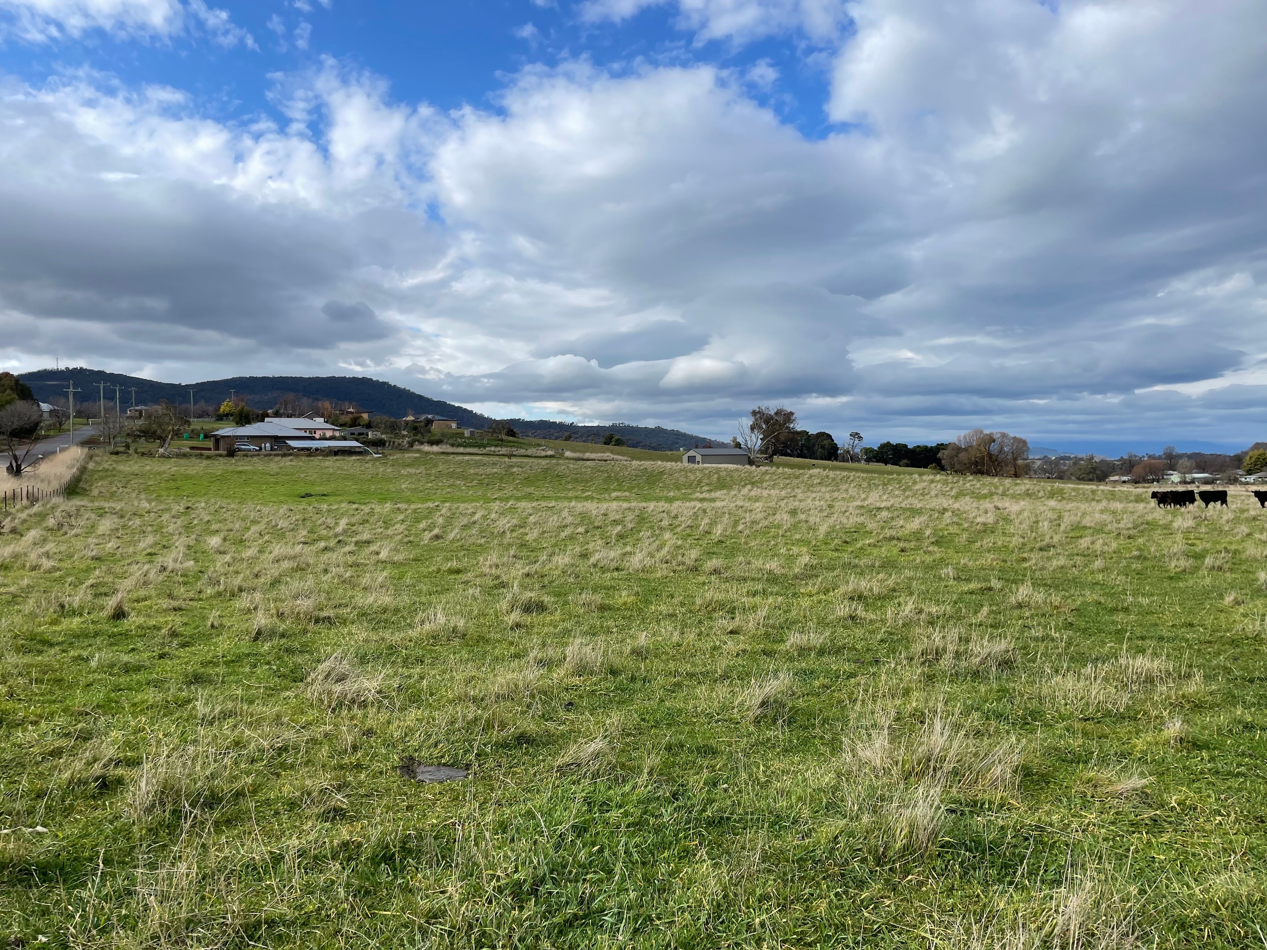 Lot 138 Chisholm Street, Tumbarumba, NSW 2653