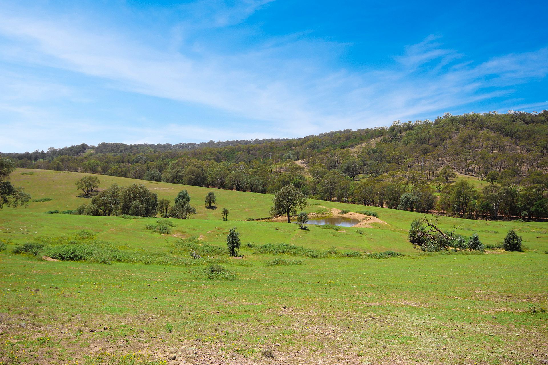 787 Inverary Road, Paddys River NSW 2577