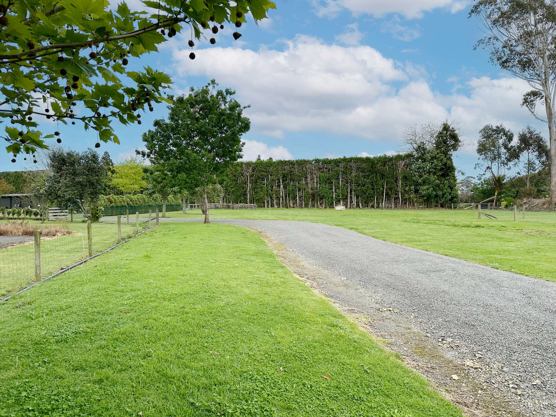 6A Ngapuhi Road photo 3