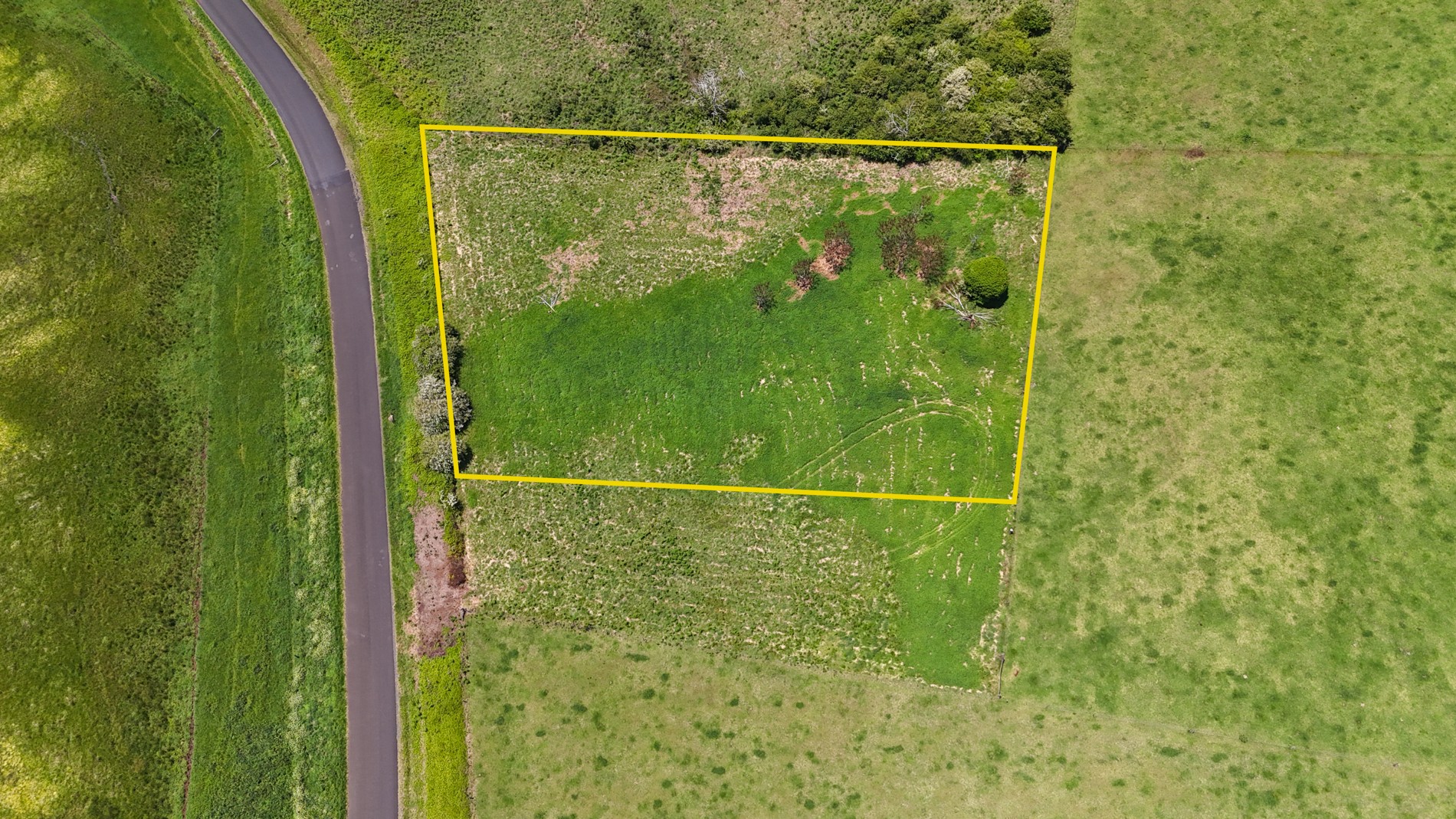 97 Whisky Creek Road, Dorrigo, NSW 2453
