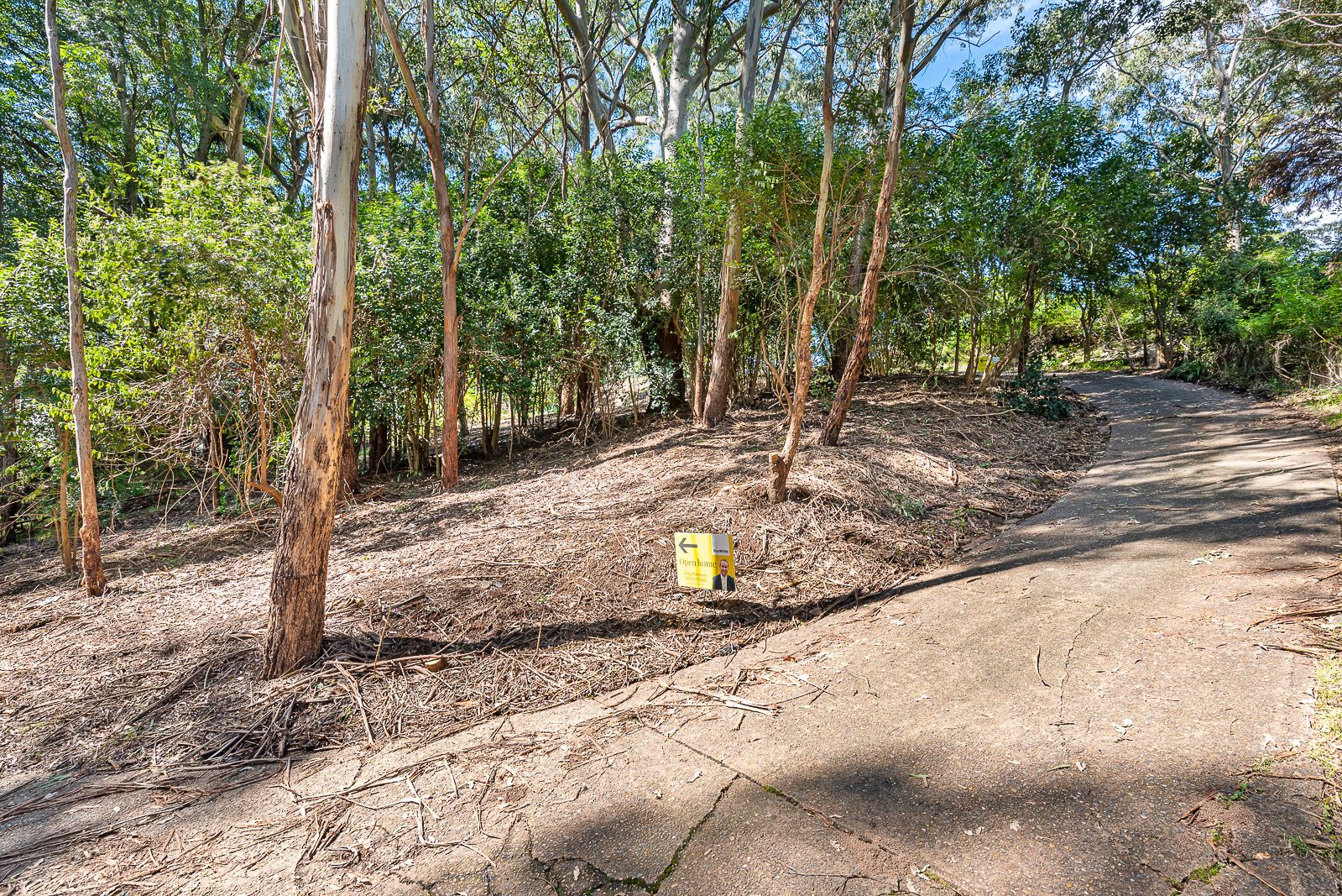 320 Old Northern Road, Castle Hill, NSW 2154