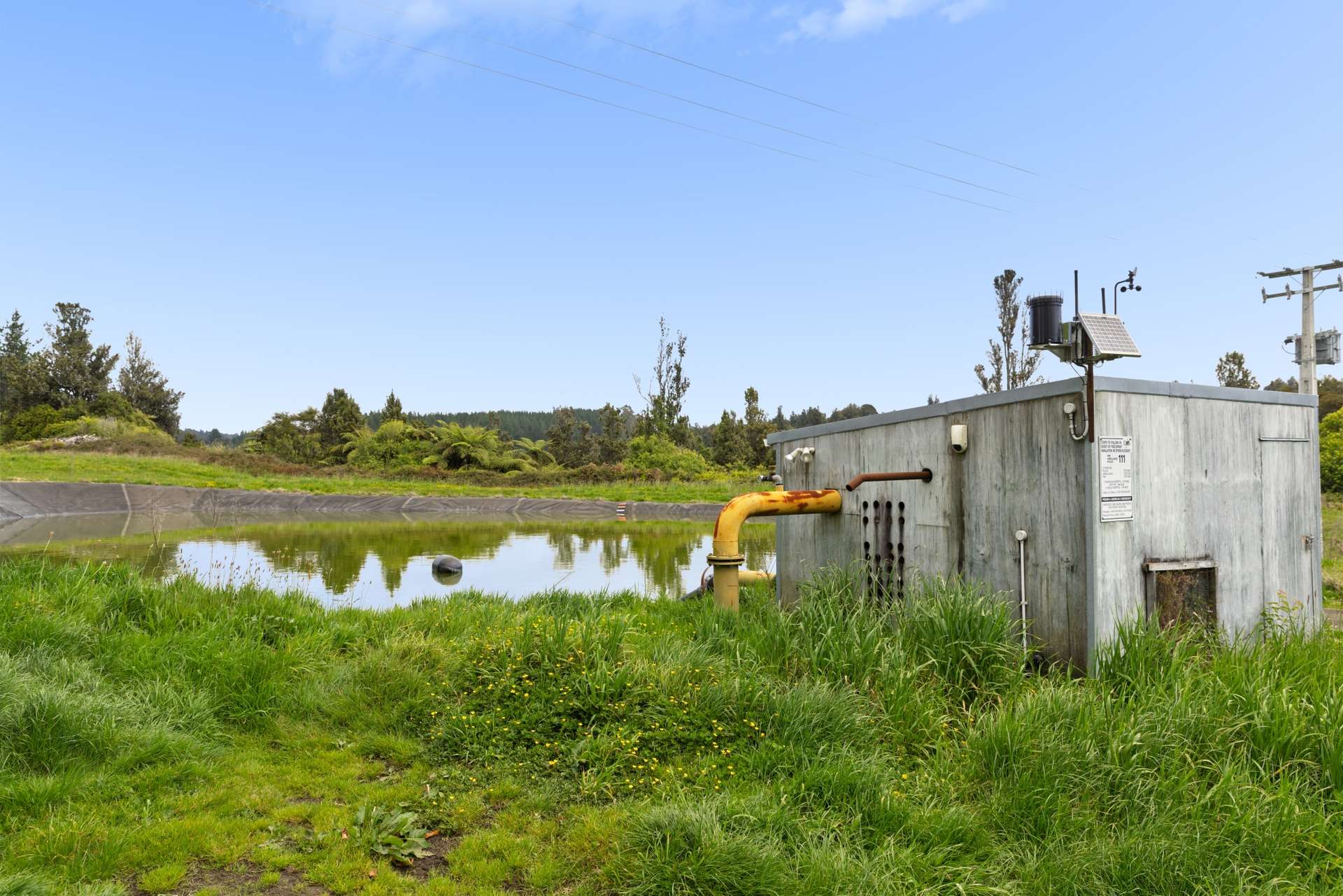 1010 Te Matai Road photo 13