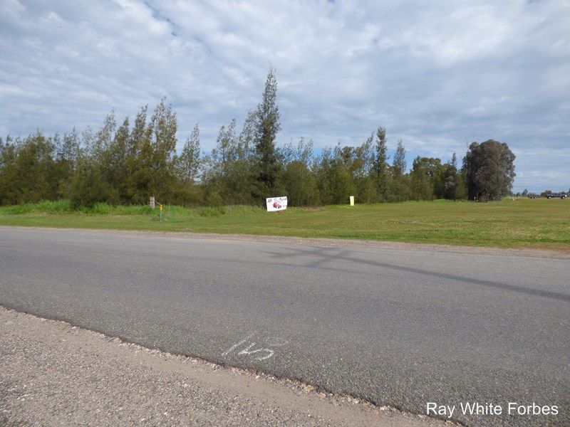 25 Parkes Road, Forbes, NSW 2871