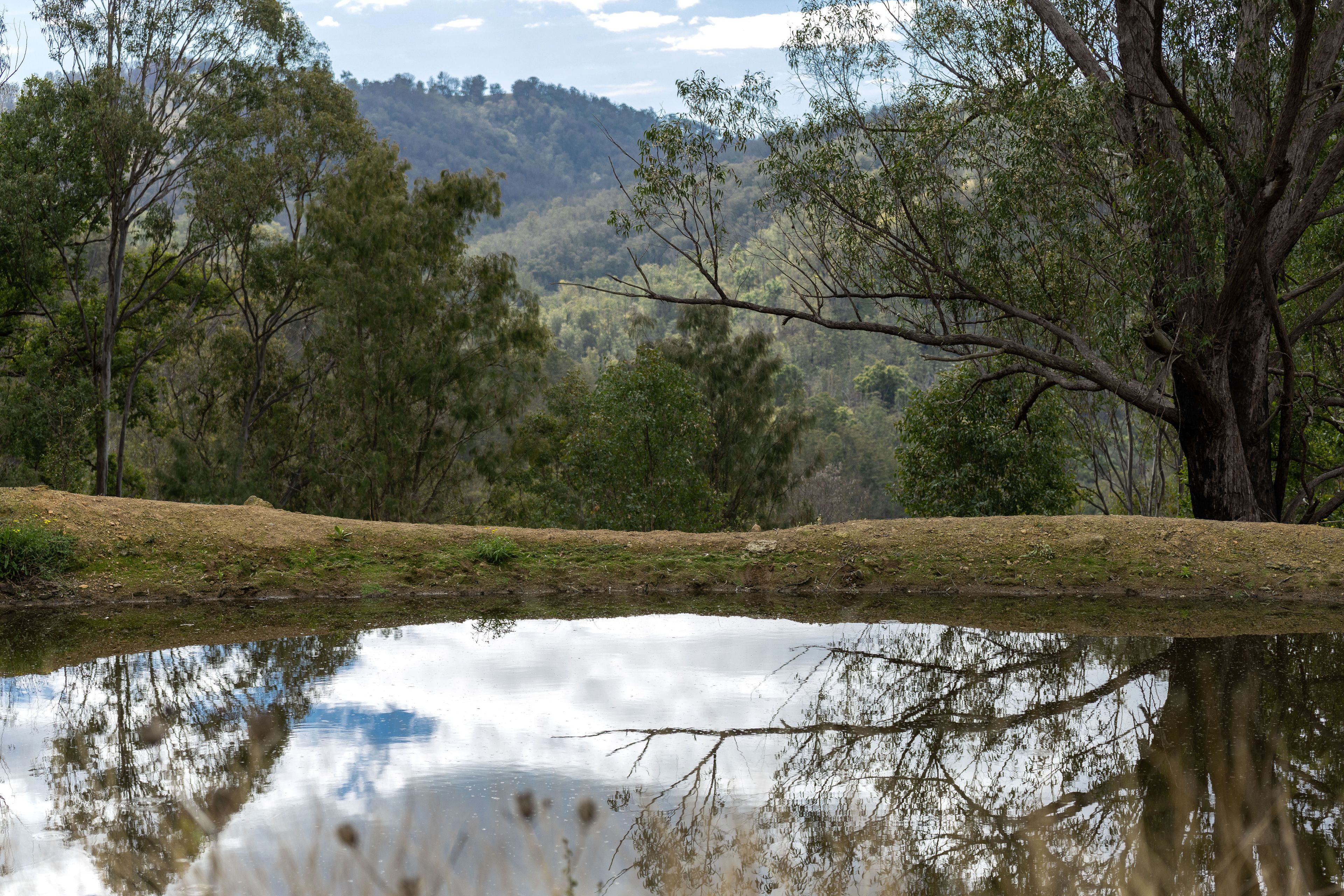 Lot 78 McPhersons Country Estate, Enfield Range Road, Cells River, NSW