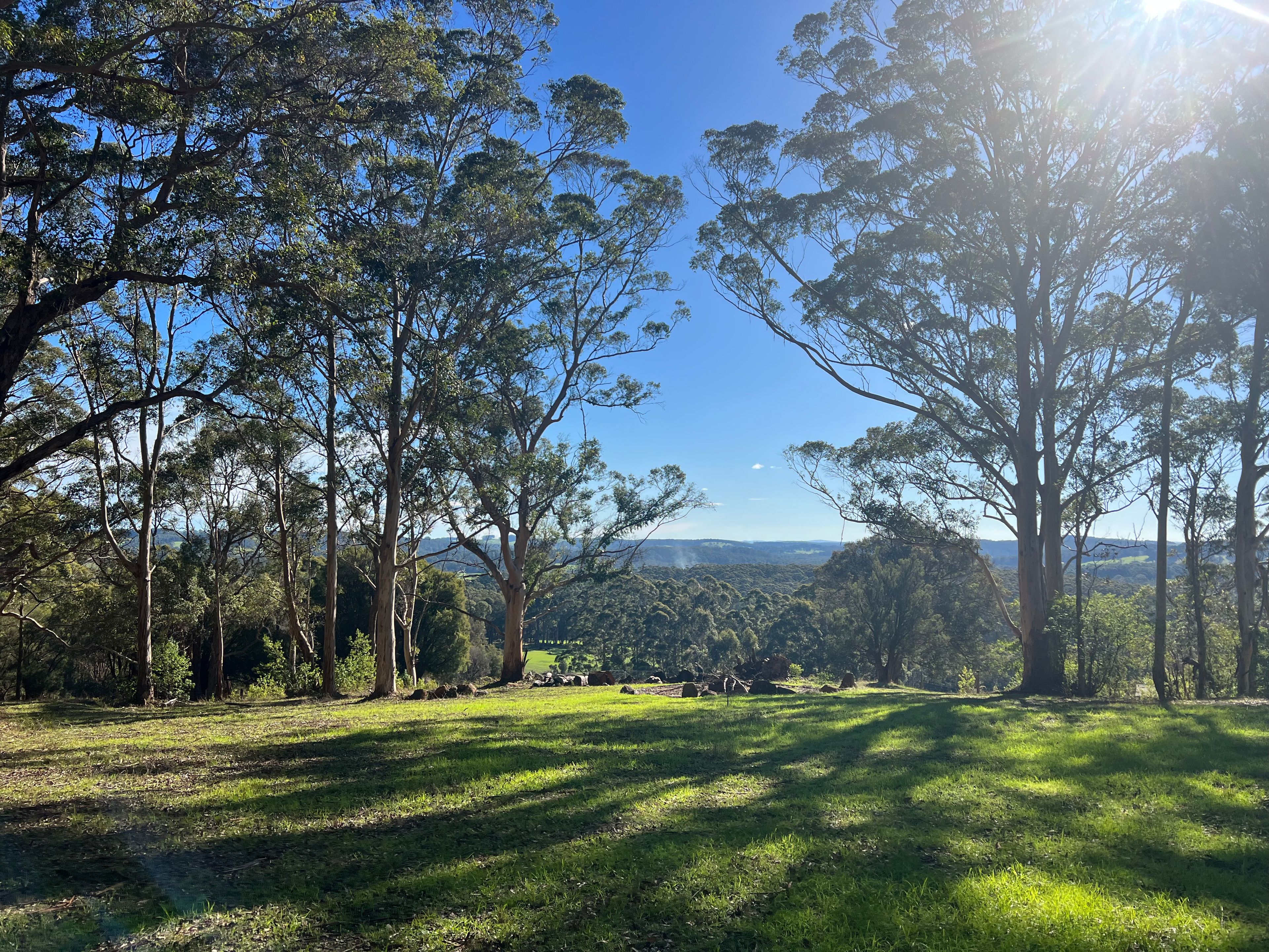 Shadforth, WA 6333 - Sold Rural Lifestyle Property - Ray White Denmark