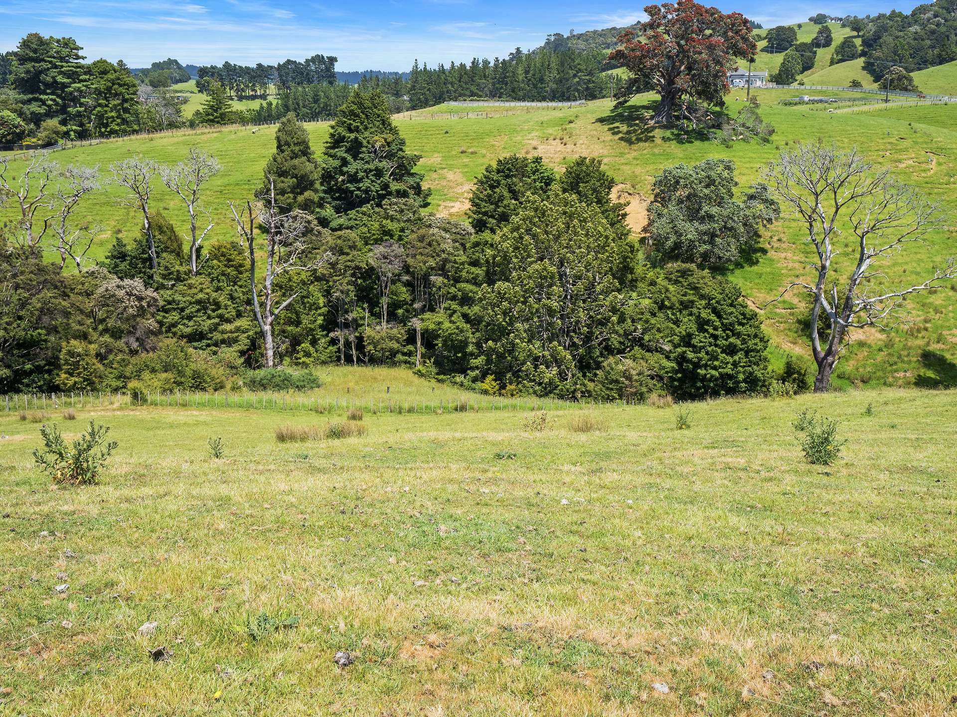 314 Pukapuka Road photo 8