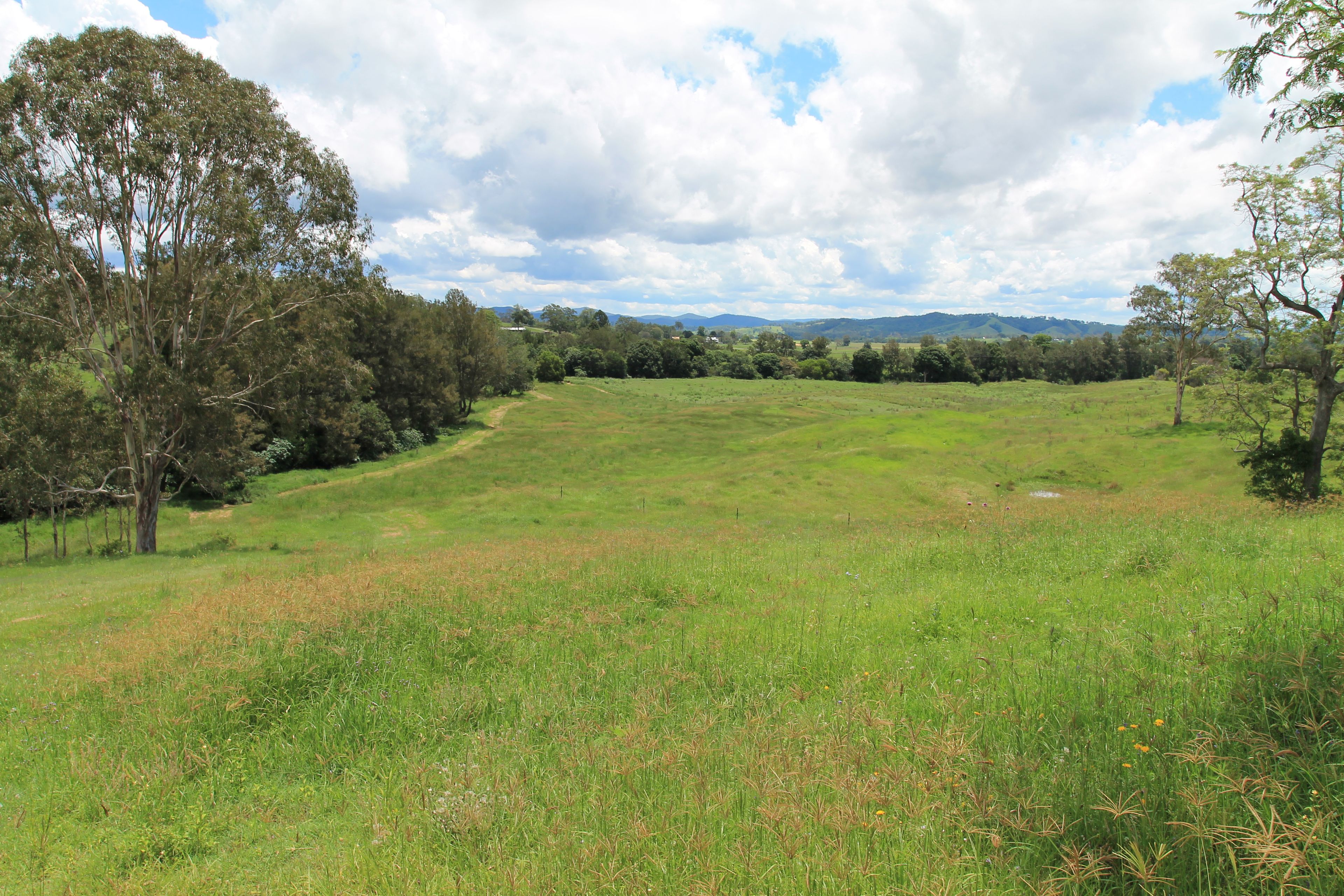 1197 Kenilworth Skyring Creek Road, Tuchekoi QLD 4570