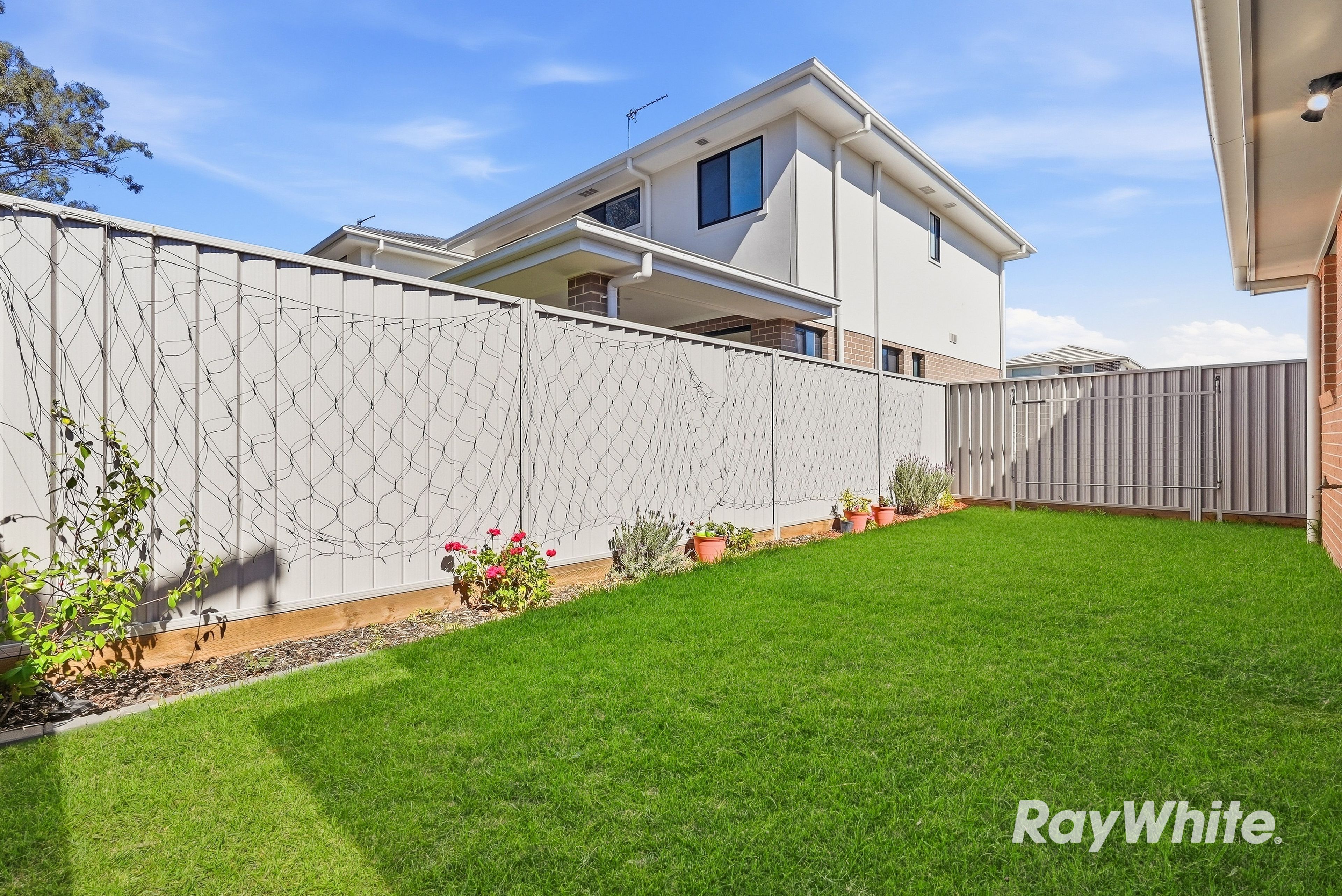 155 Terry Road — photo 27 of 30
