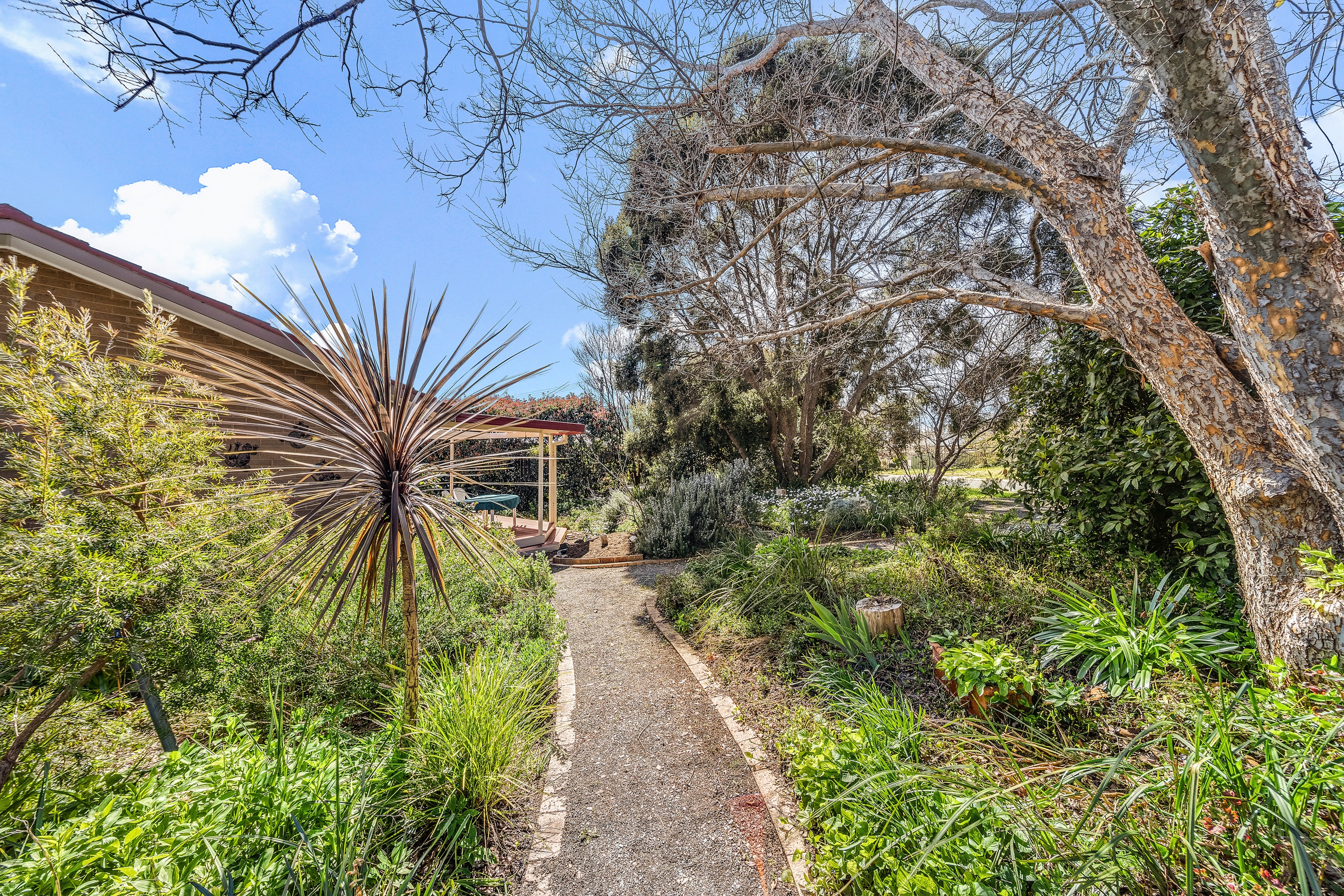 3 Hellyer Street, Holder, ACT 2611