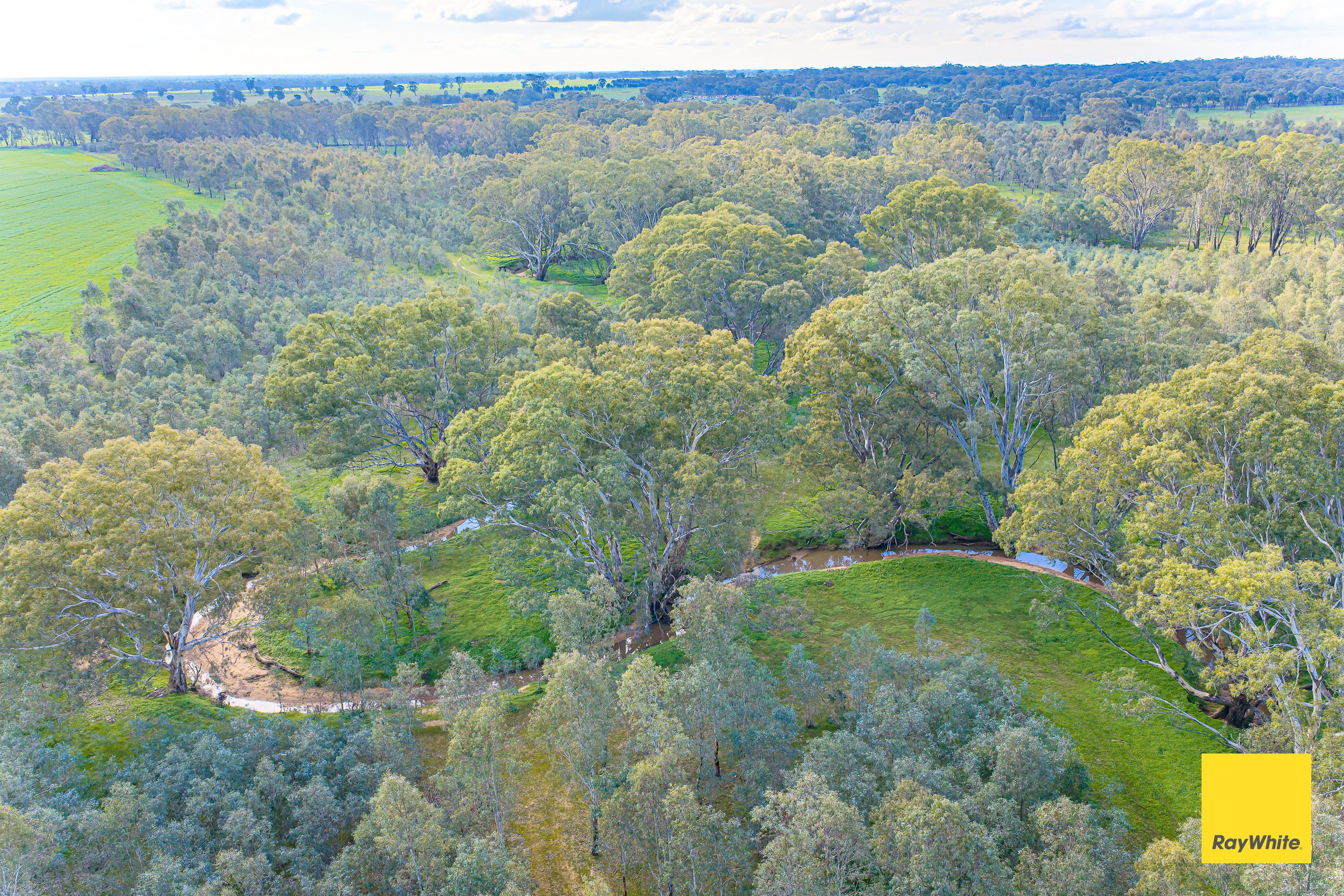Lot 3 Axedale-Crosbie Road — photo 13 of 23