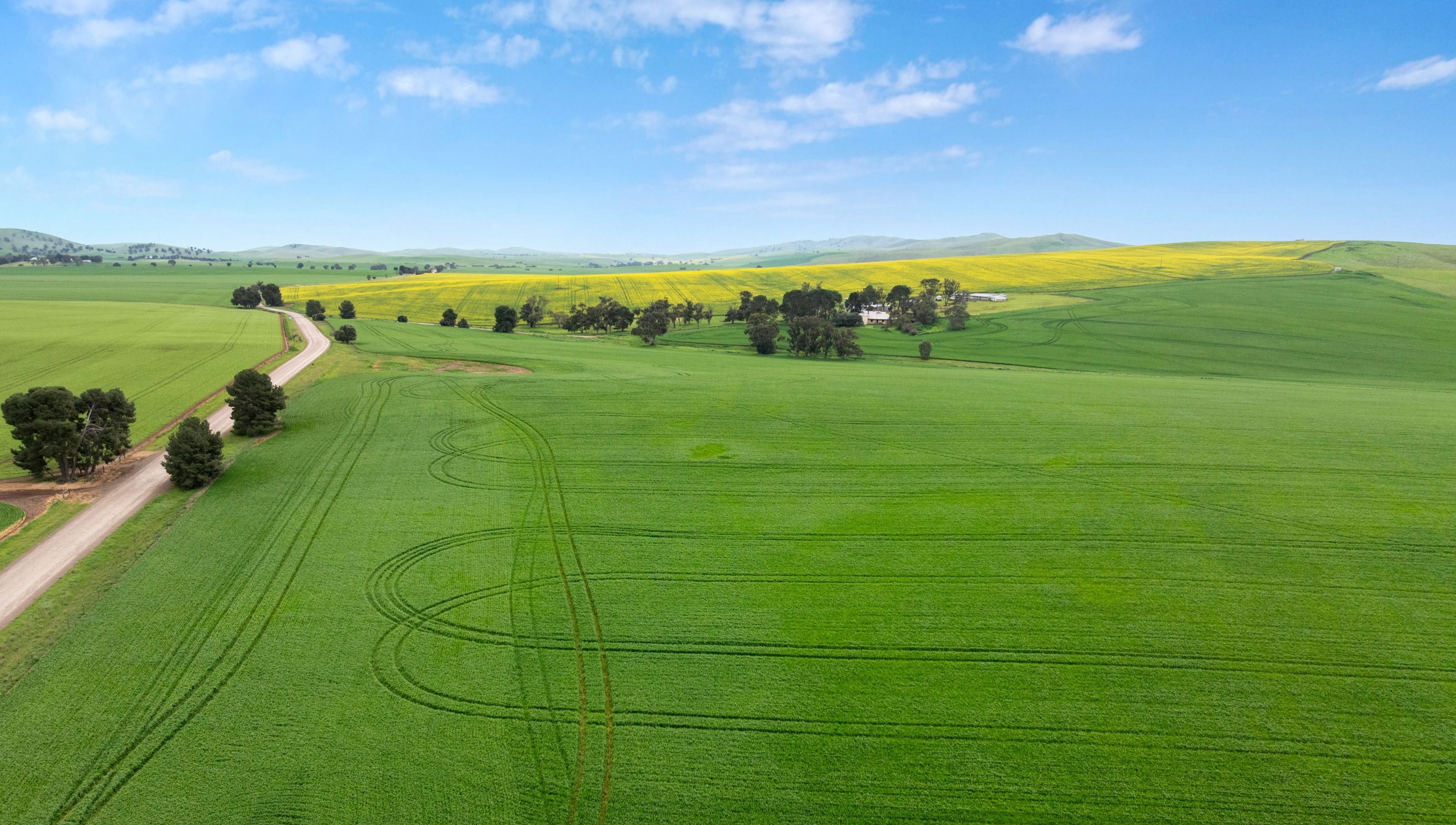 'Wilson Land' Pipeline Road — photo from Ray White Rural South Australia