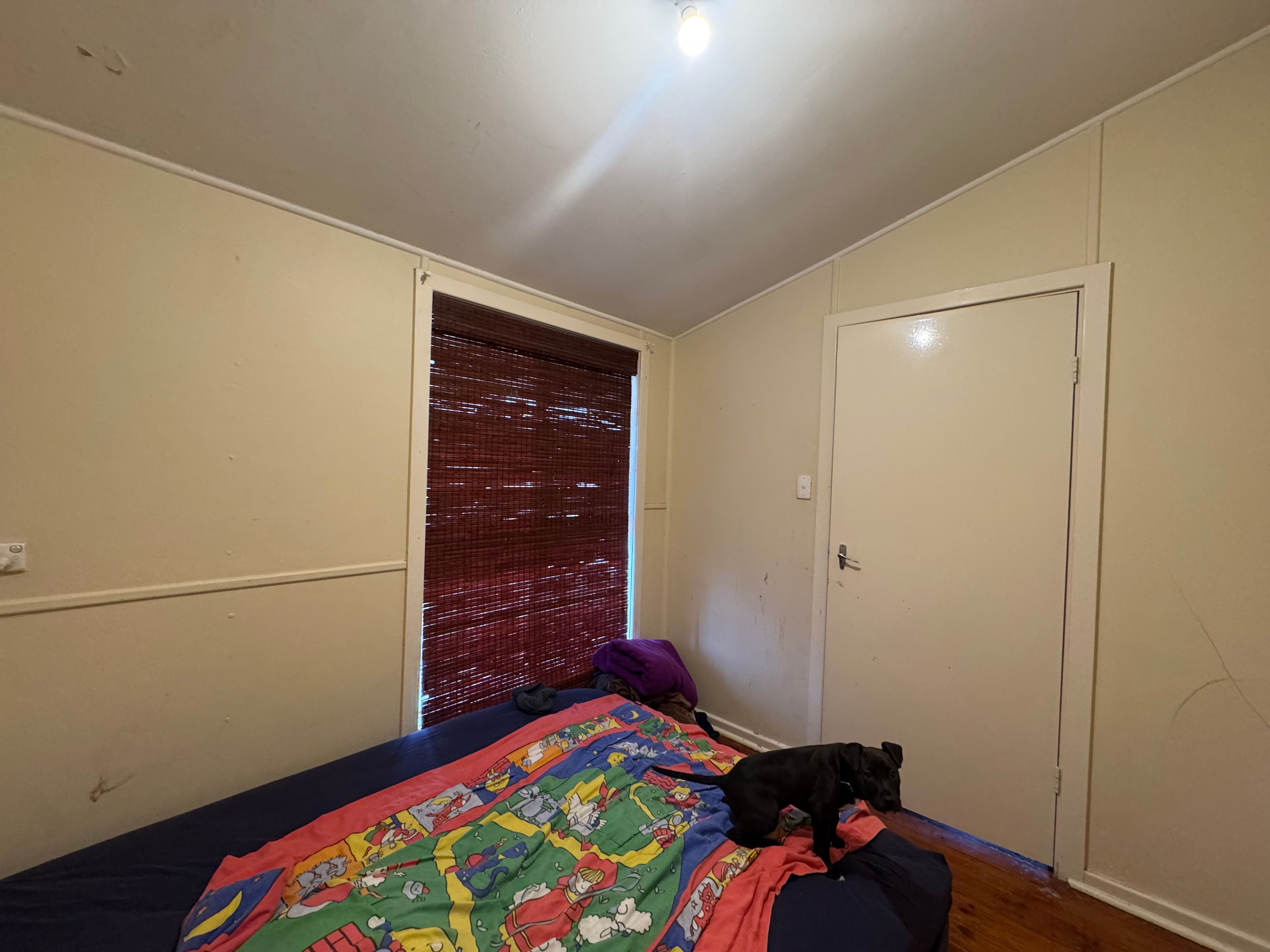38 Forster Street — photo 12 of 17