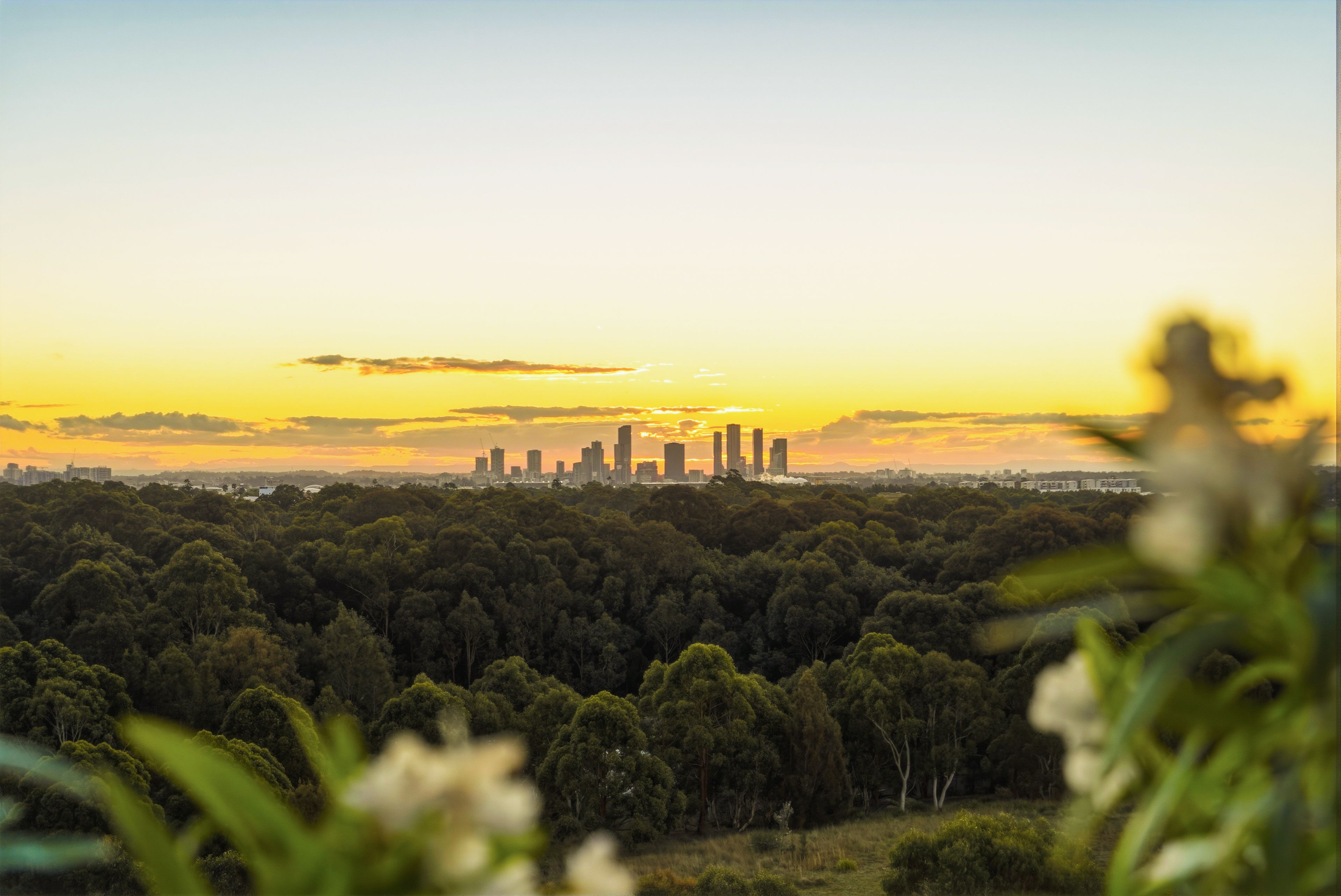 1003/3 Bennelong Parkway, Wentworth Point, NSW 2127