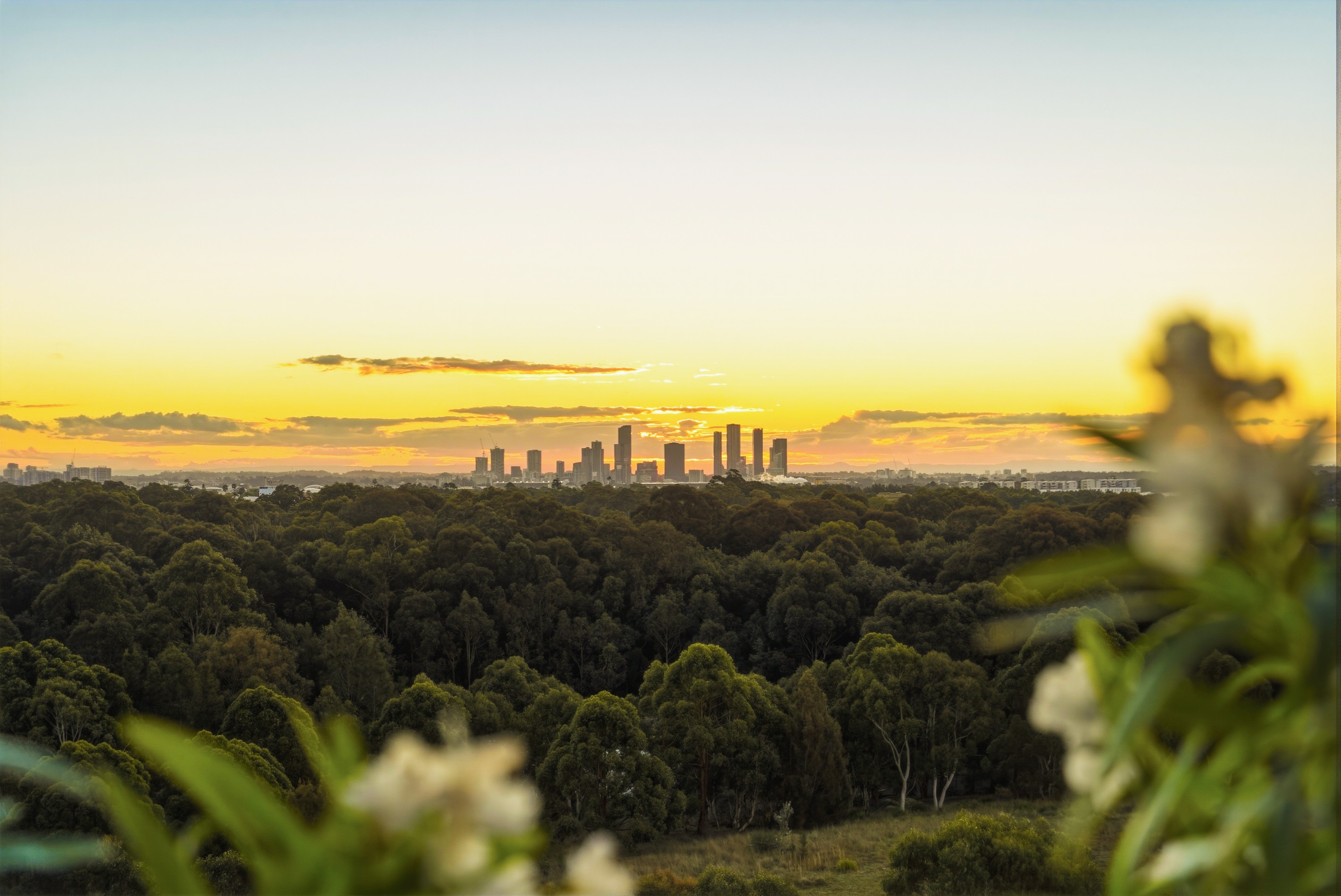 1003/3 Bennelong Parkway, Wentworth Point, NSW 2127