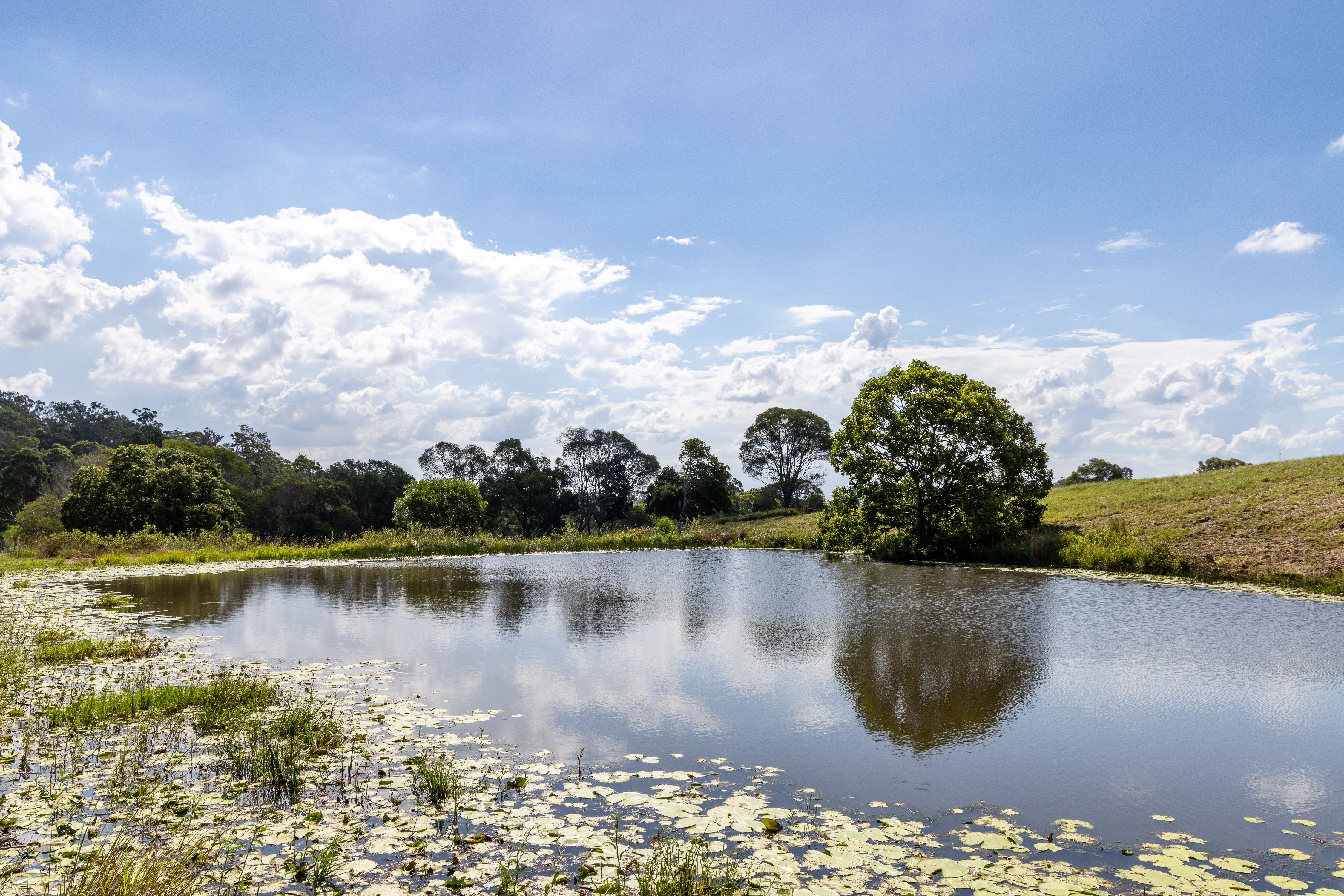 33 acre Hinterland Lifestyle Retreat — photo 16 of 17