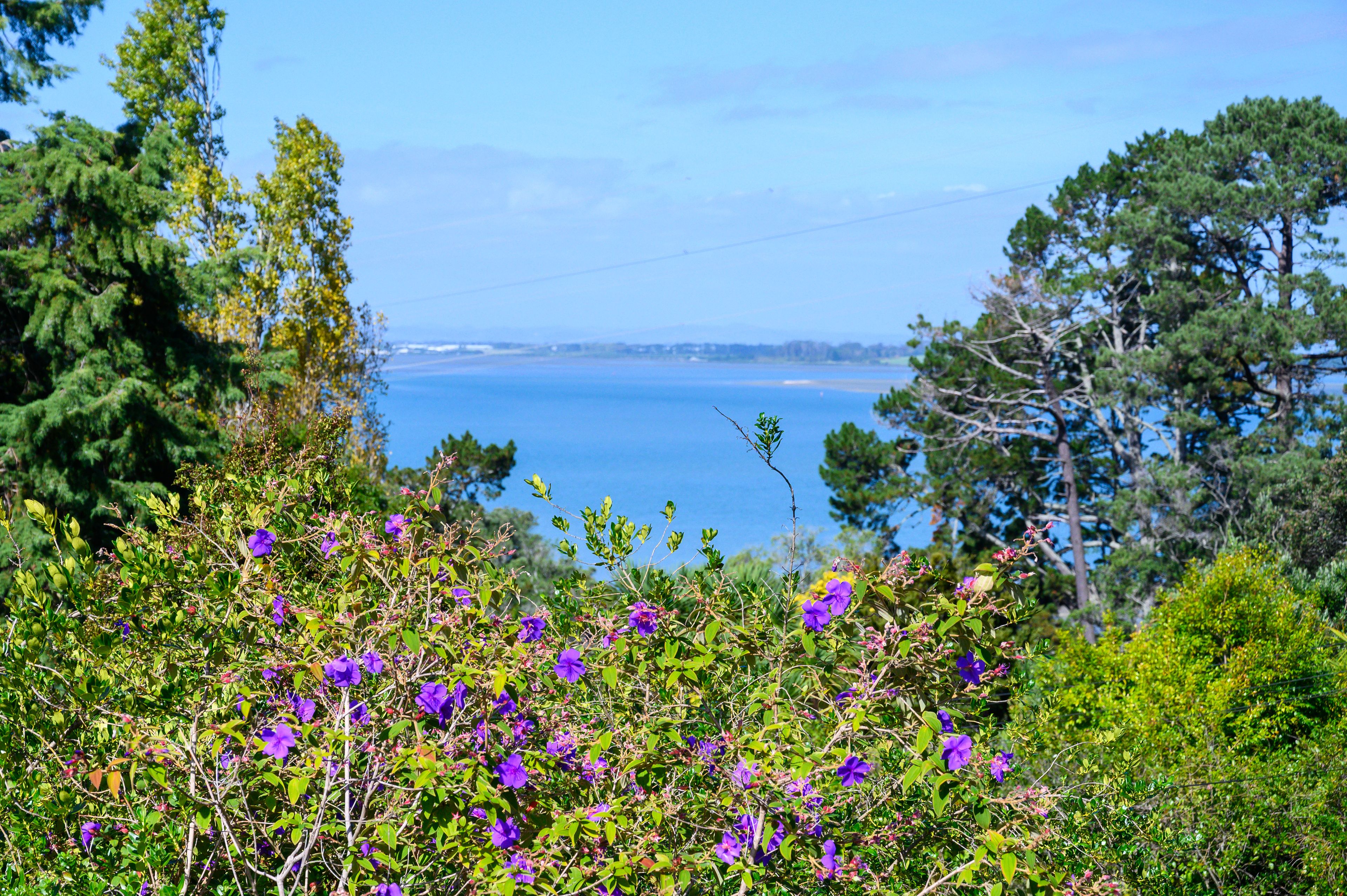 3 Barton Street East, Blockhouse Bay, Auckland City