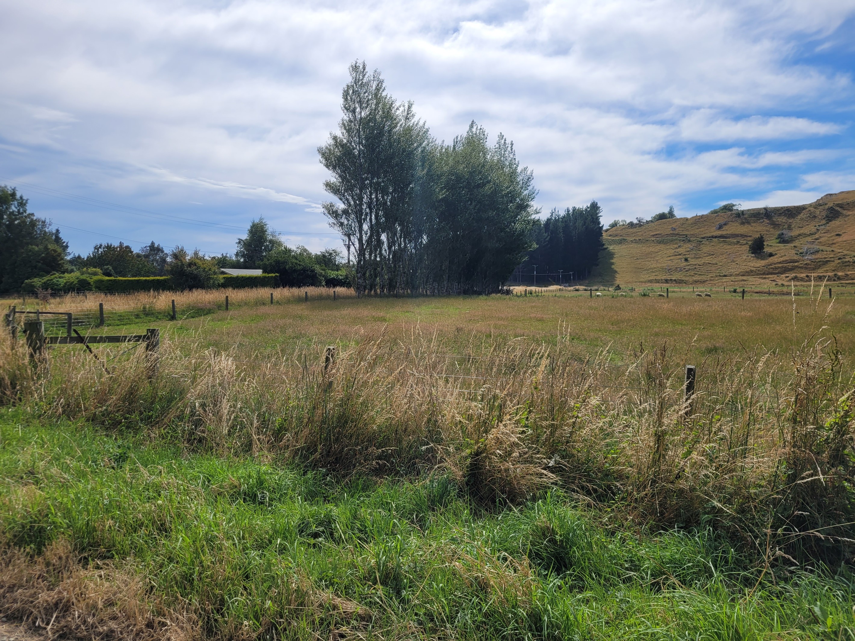 110 Avon Road, Centre Bush, Southland District