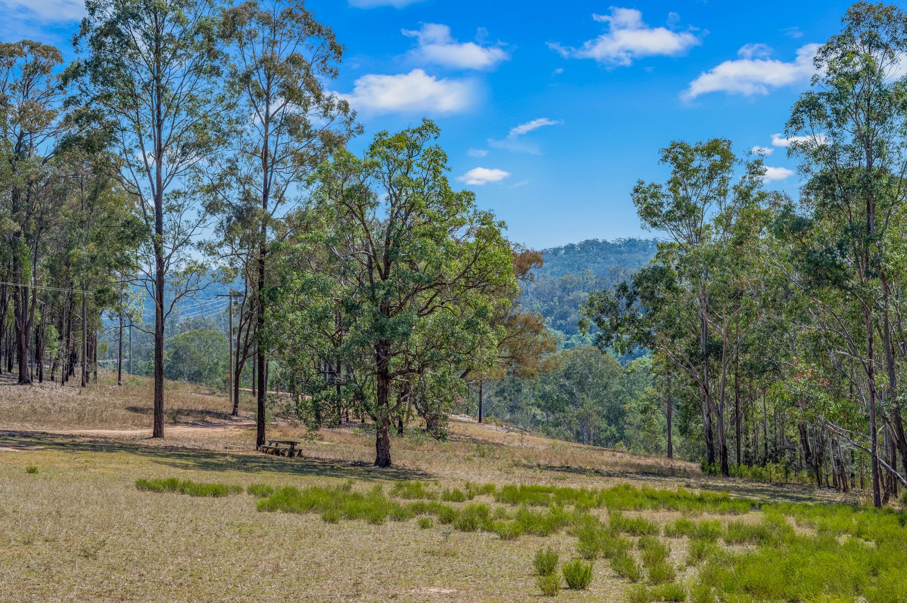 Lot 16 6333 Putty Road — photo 5 of 20