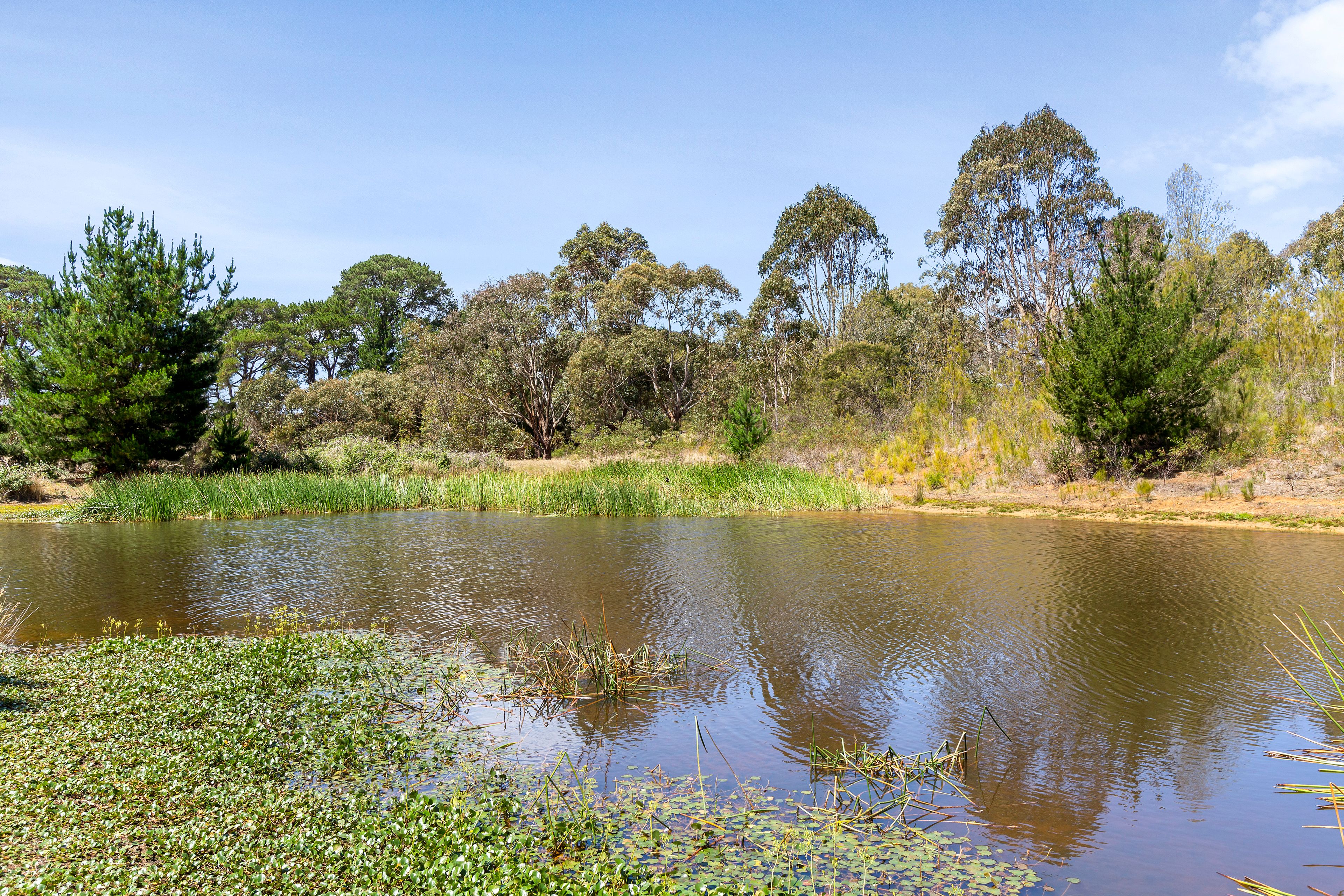 715 Great Ocean Road, Bellbrae, VIC 3228