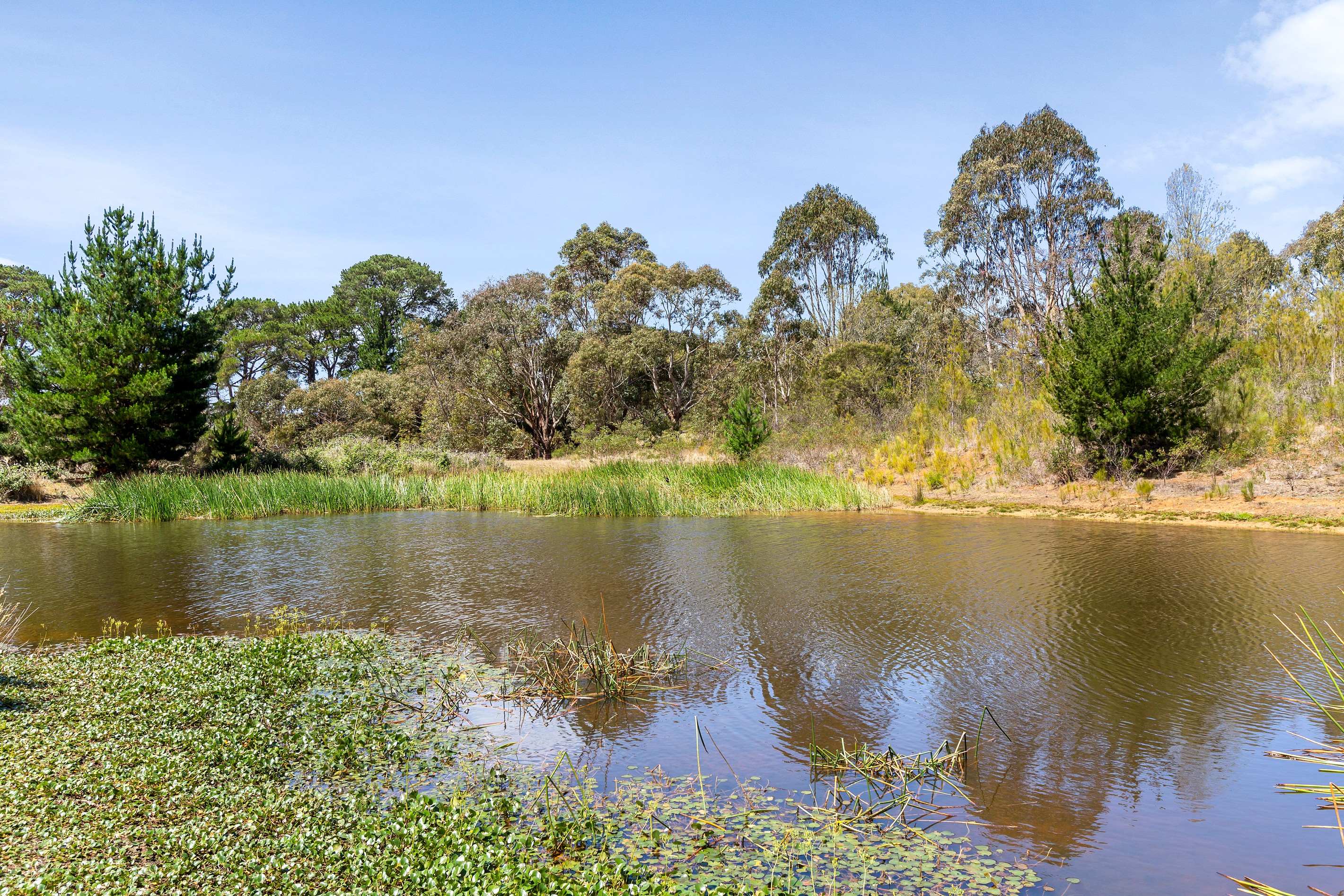 715 Great Ocean Road, Bellbrae, VIC 3228