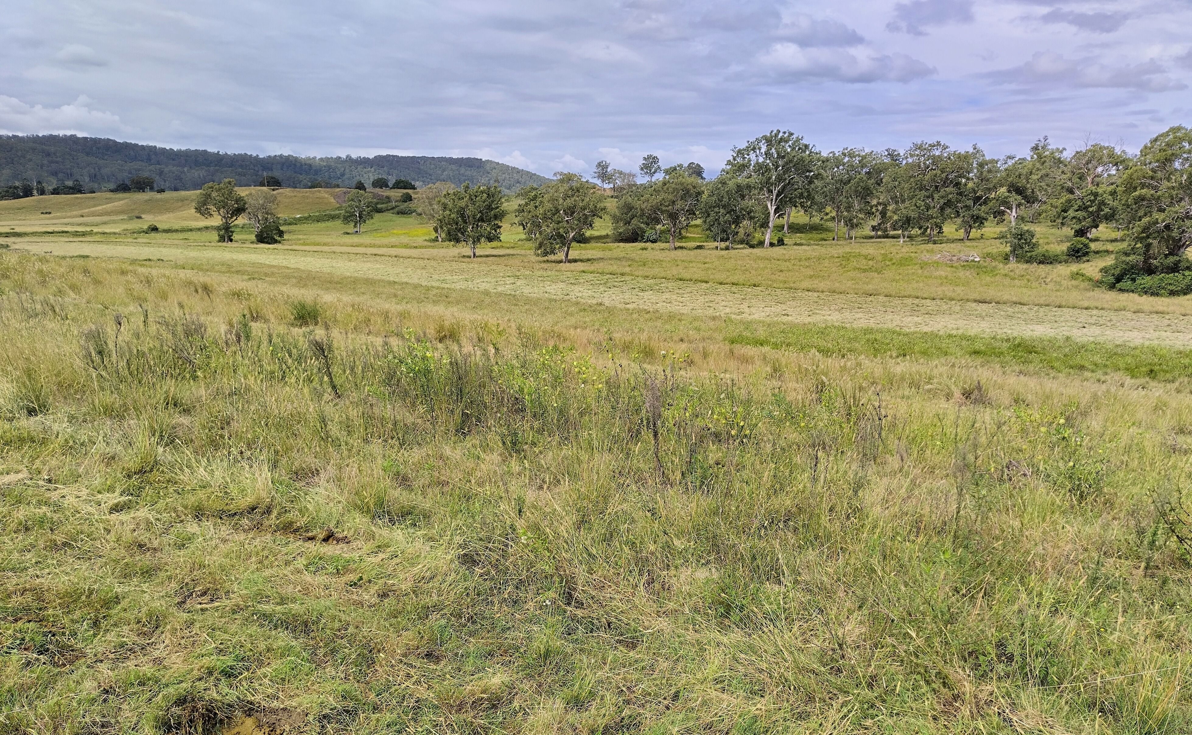 1106 Naughtons Gap Road — photo 9 of 27