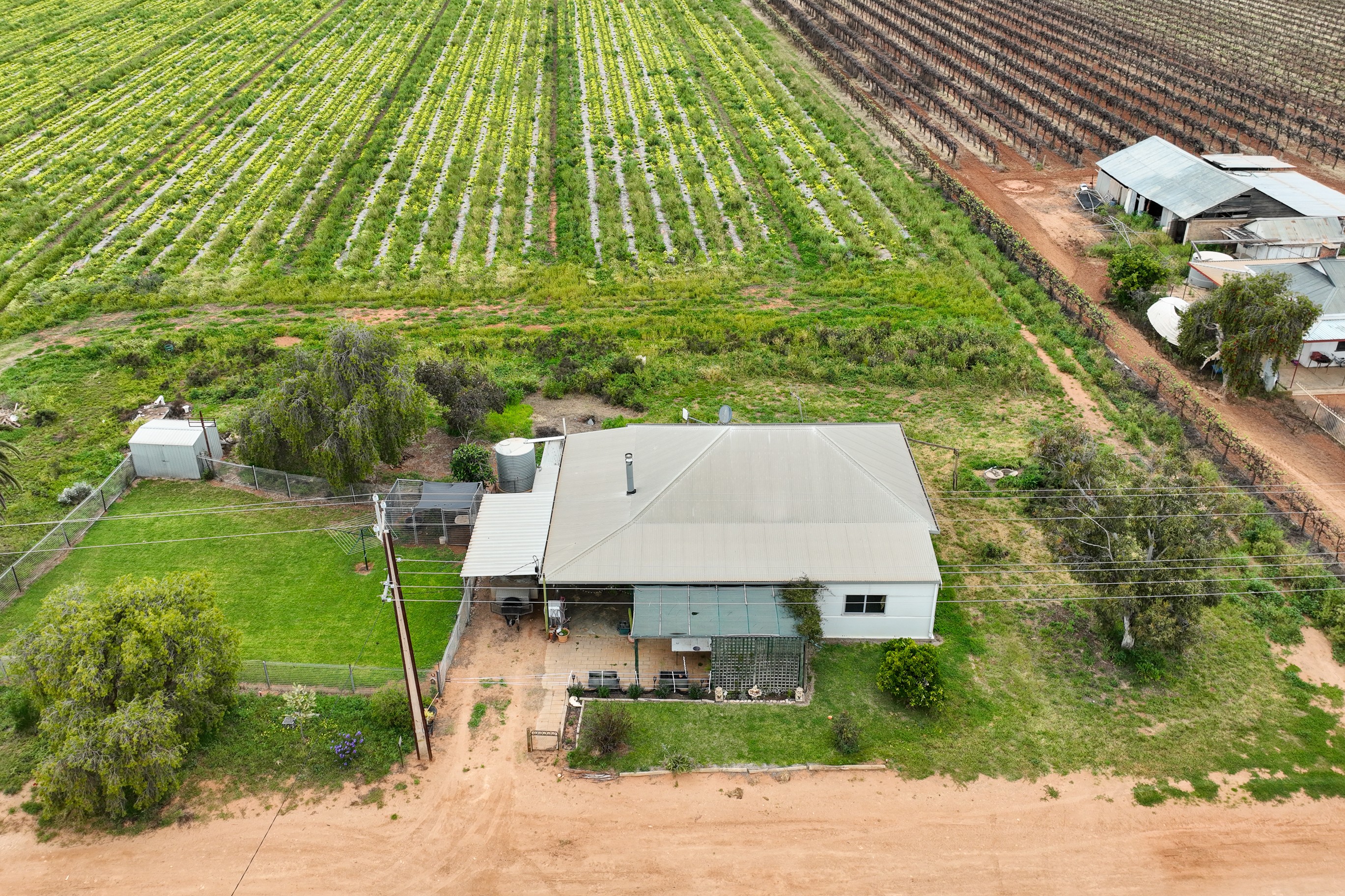 65 Forward Avenue, Loveday, SA 5345