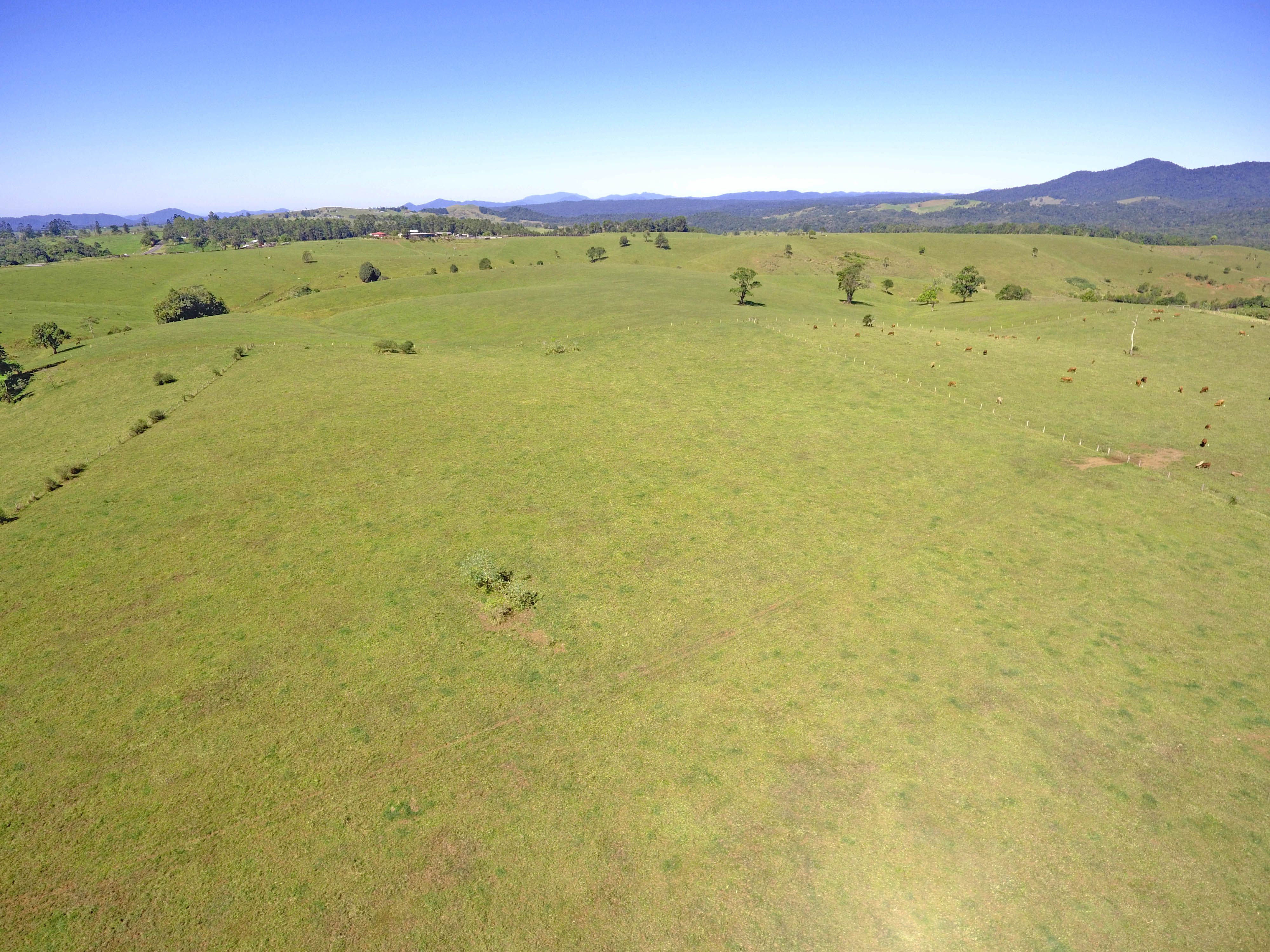 ROLLING GREEN HILLS — photo 6 of 8