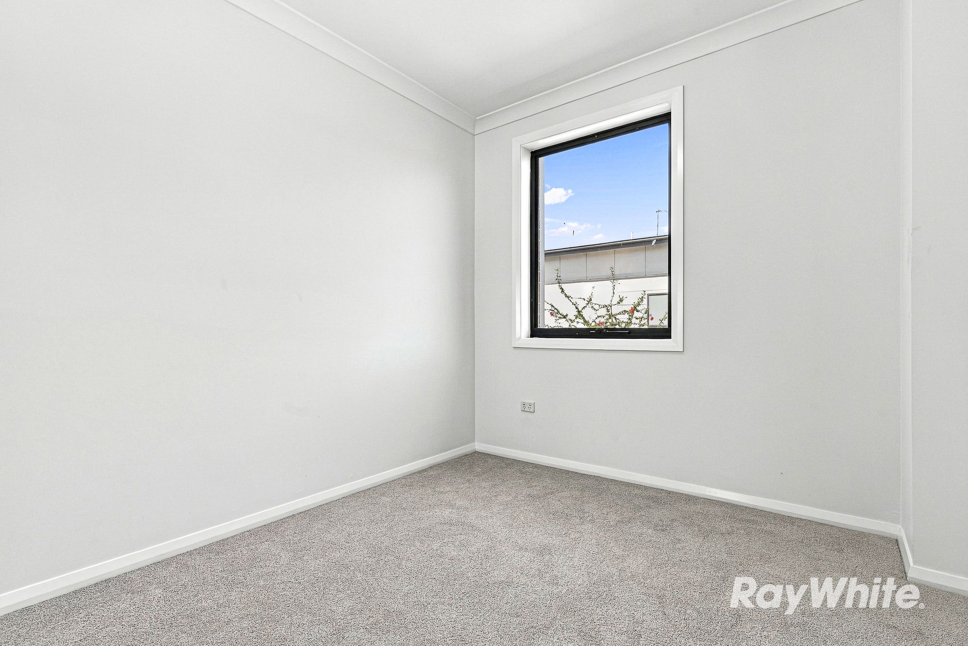16/23 Elizabeth Street — photo 13 of 21