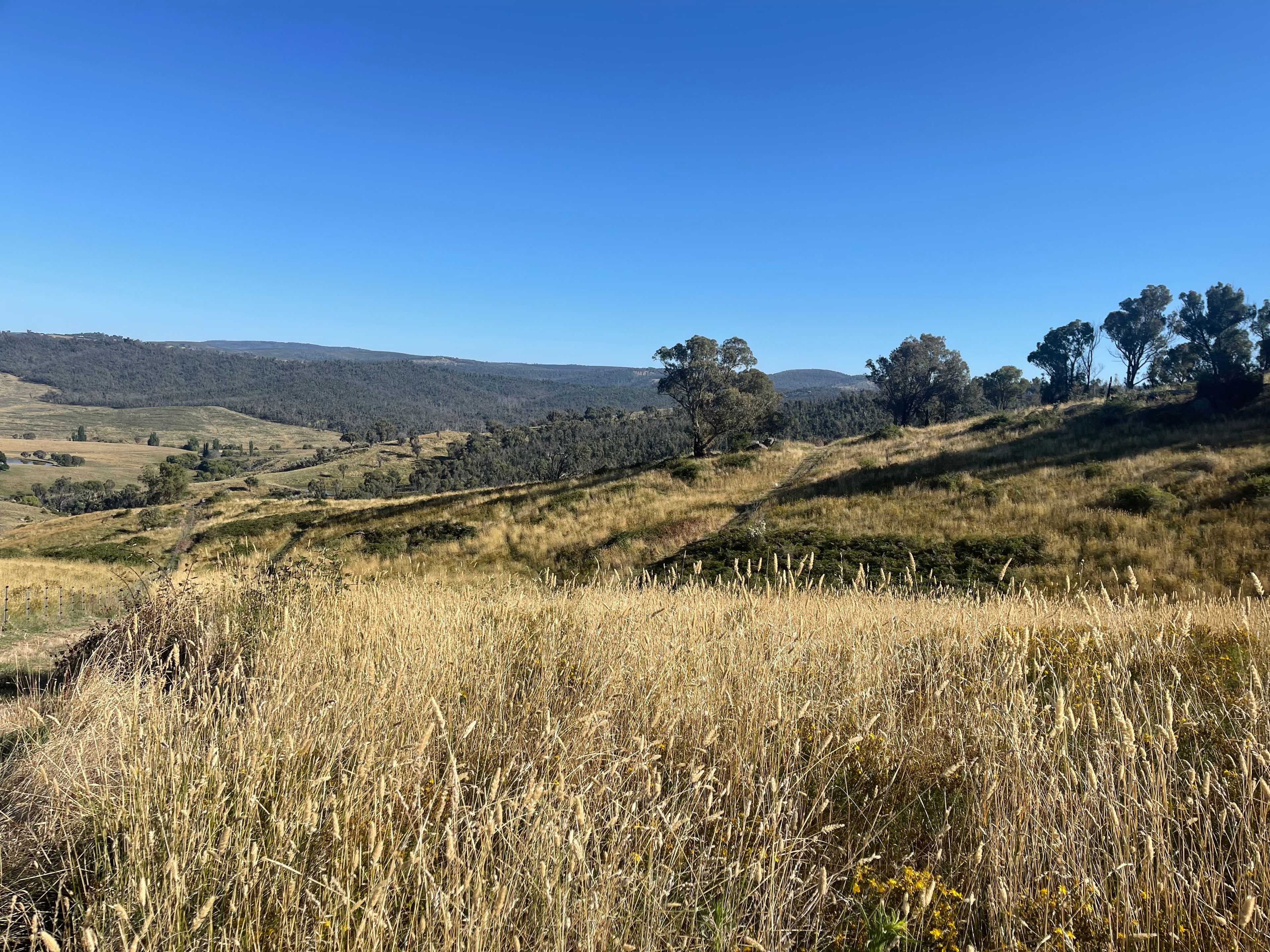 1230 Maragle Road, Maragle, NSW 2653 Rural Lifestyle Property for