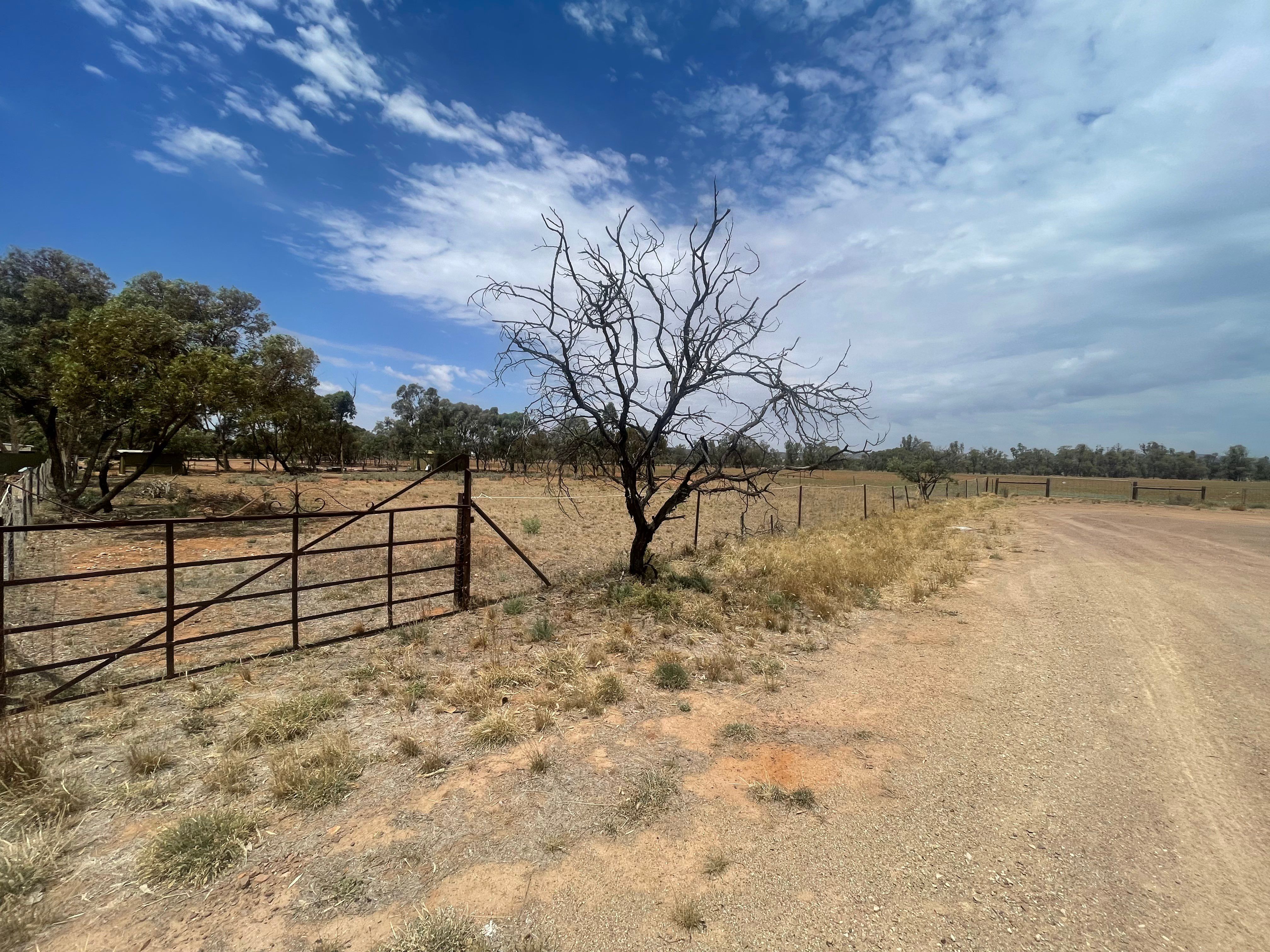 Lot 22 Norman Street, Quorn, SA 5433 Land for Sale Ray White Port