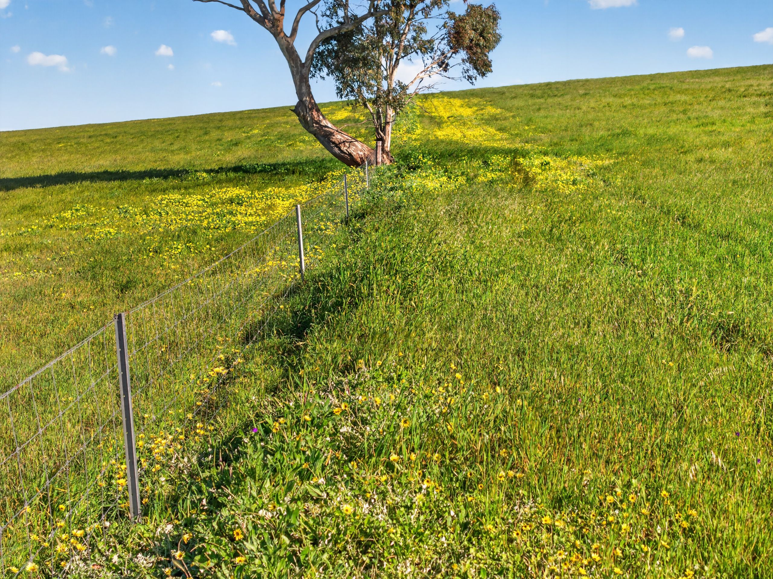 'Woolshed' Kelly Road — photo 7 of 9