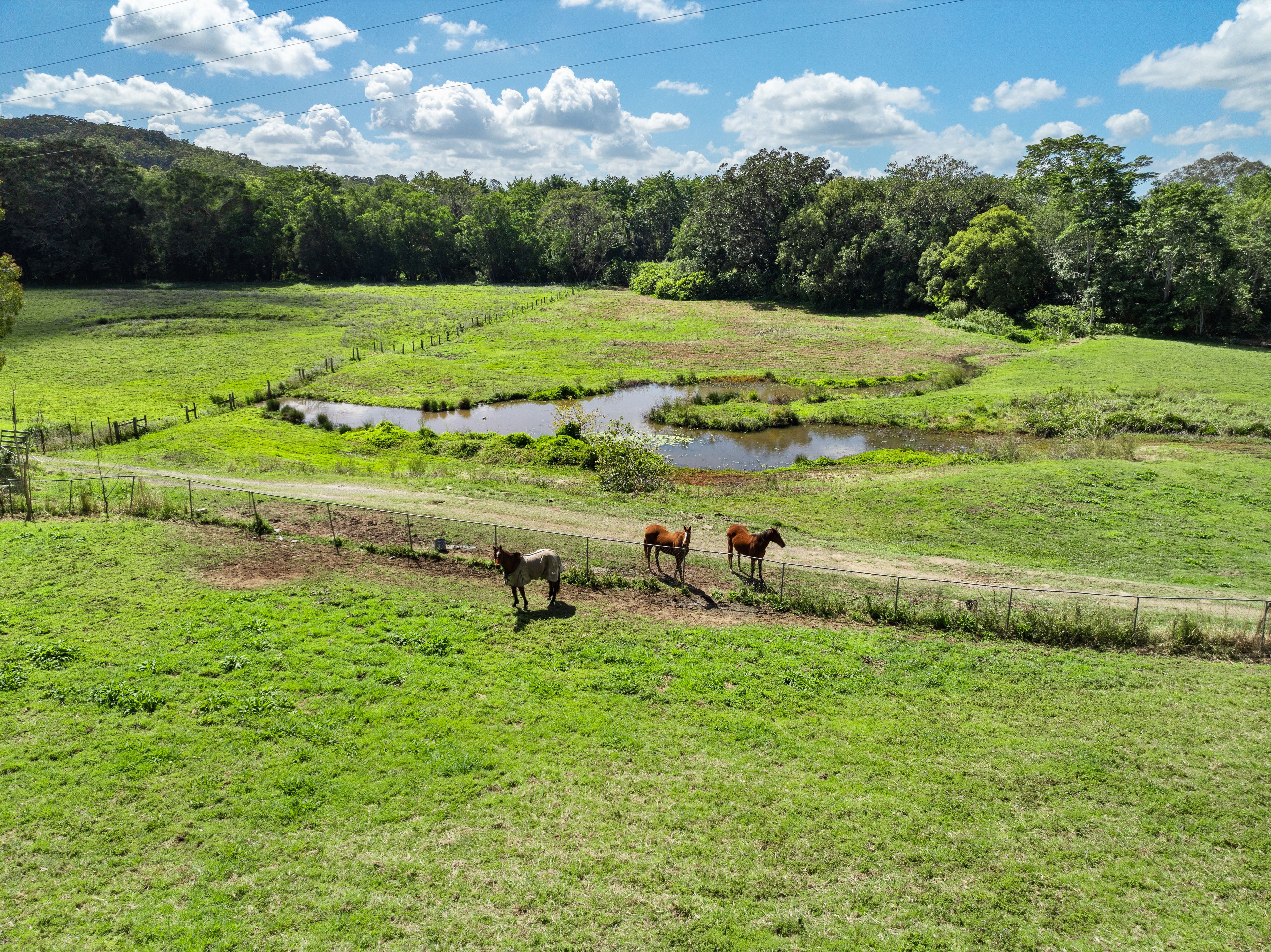 Diamond Valley Road, Diamond Valley, QLD 4553