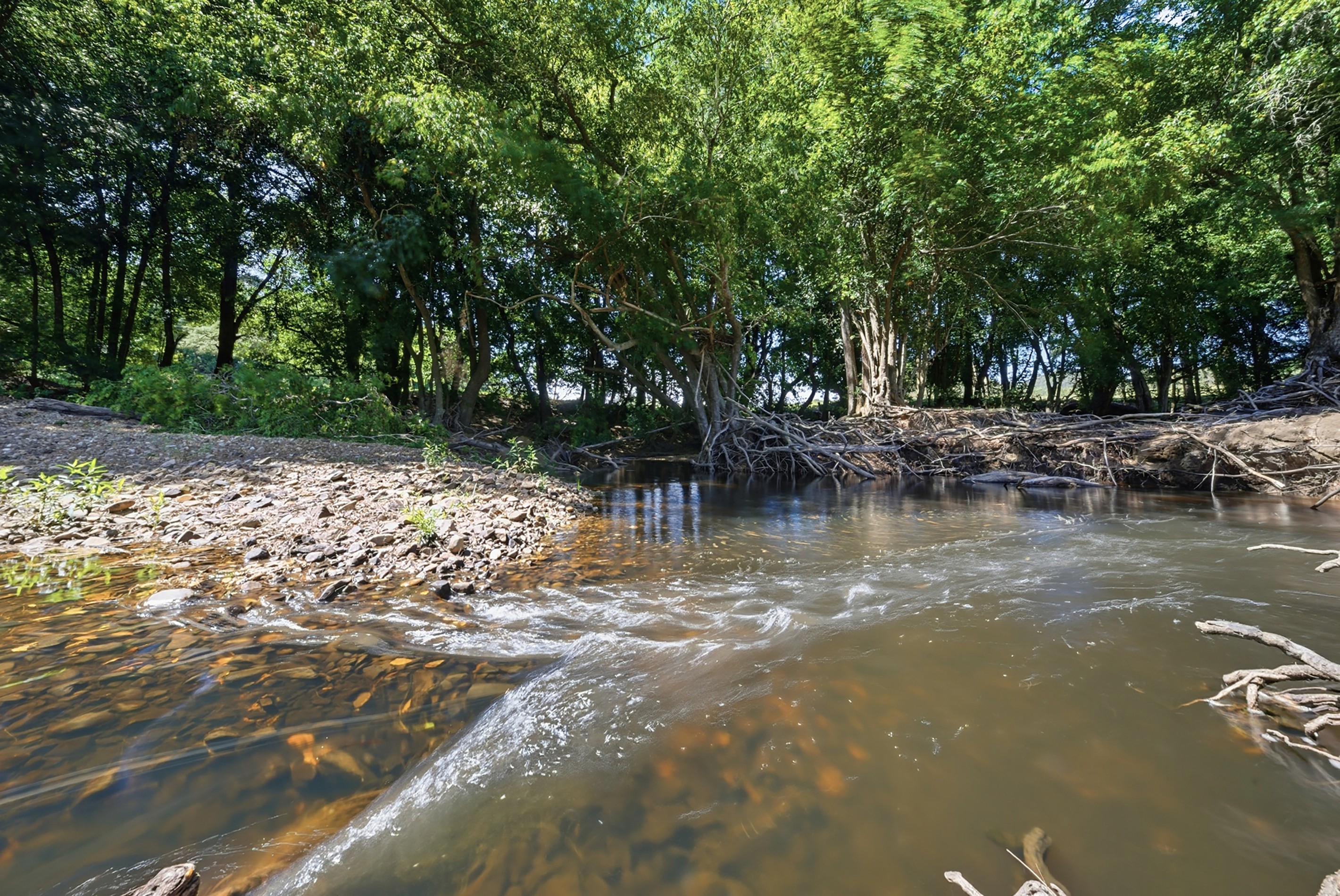 482 Terreel Road, Wards River, NSW 2422