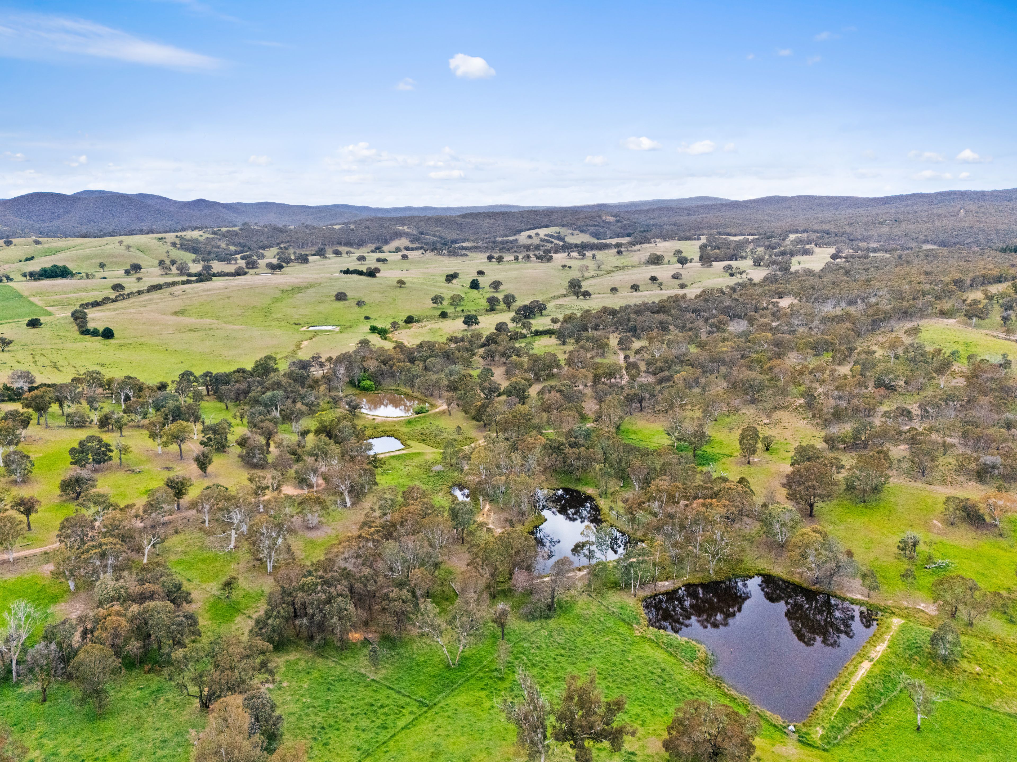 Kerrick - 4514 Gundaroo Road — photo 28 of 30