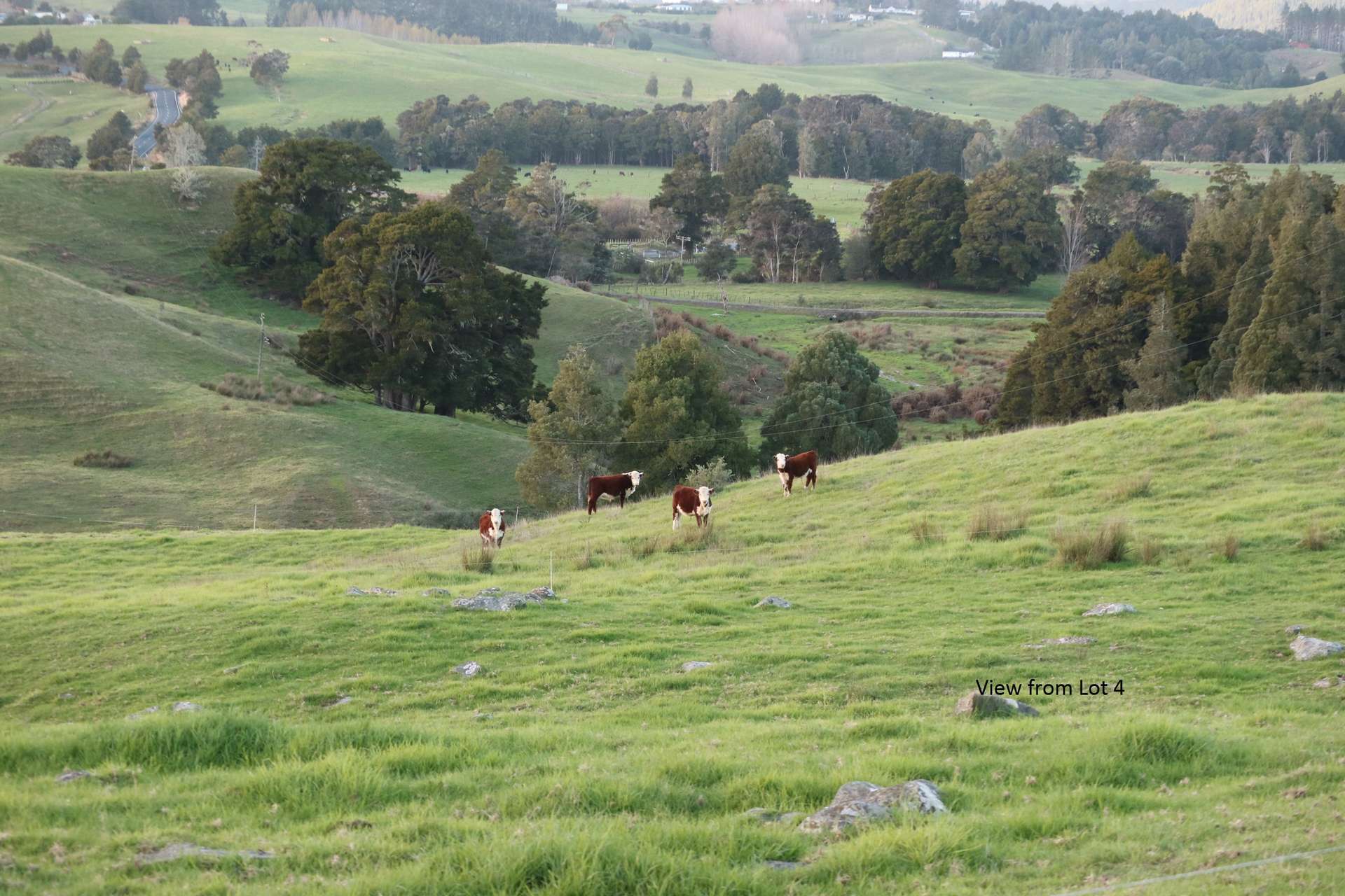 Kerikeri  Far North District  0230 photo 5