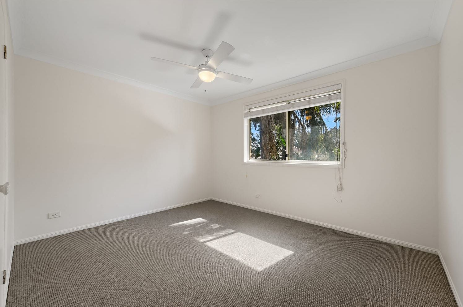 8 Ireton Street — photo 9 of 11